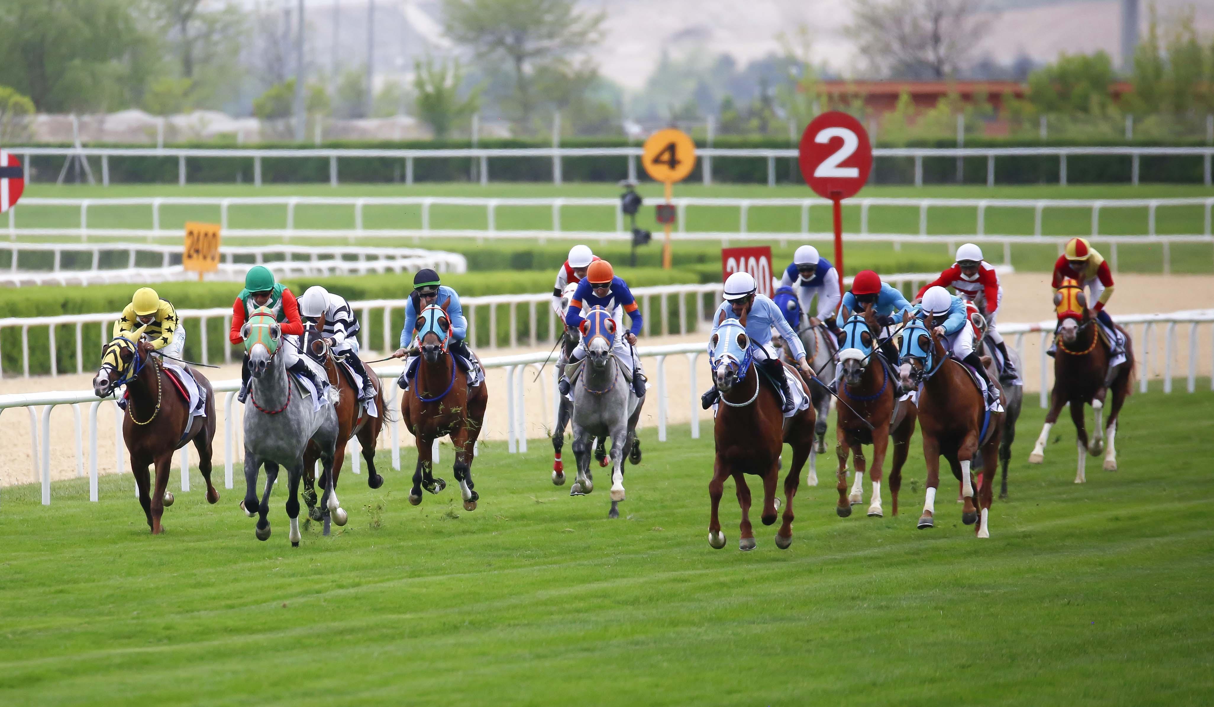 At yarışlarında 59uncu TBMM Koşusunun galibi Hızlı Ahmet oldu