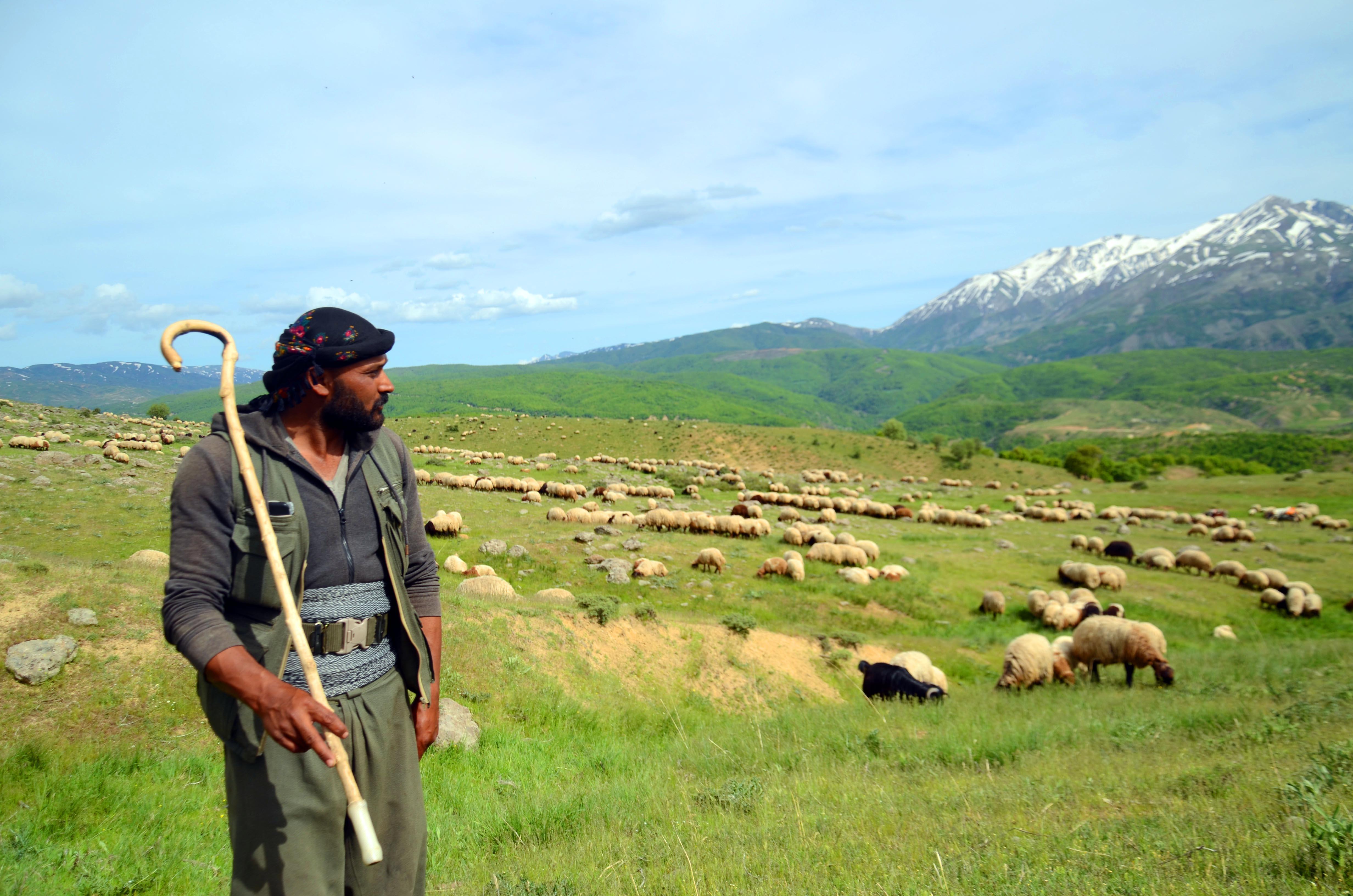 Muş’ta yaylalar şenlendi