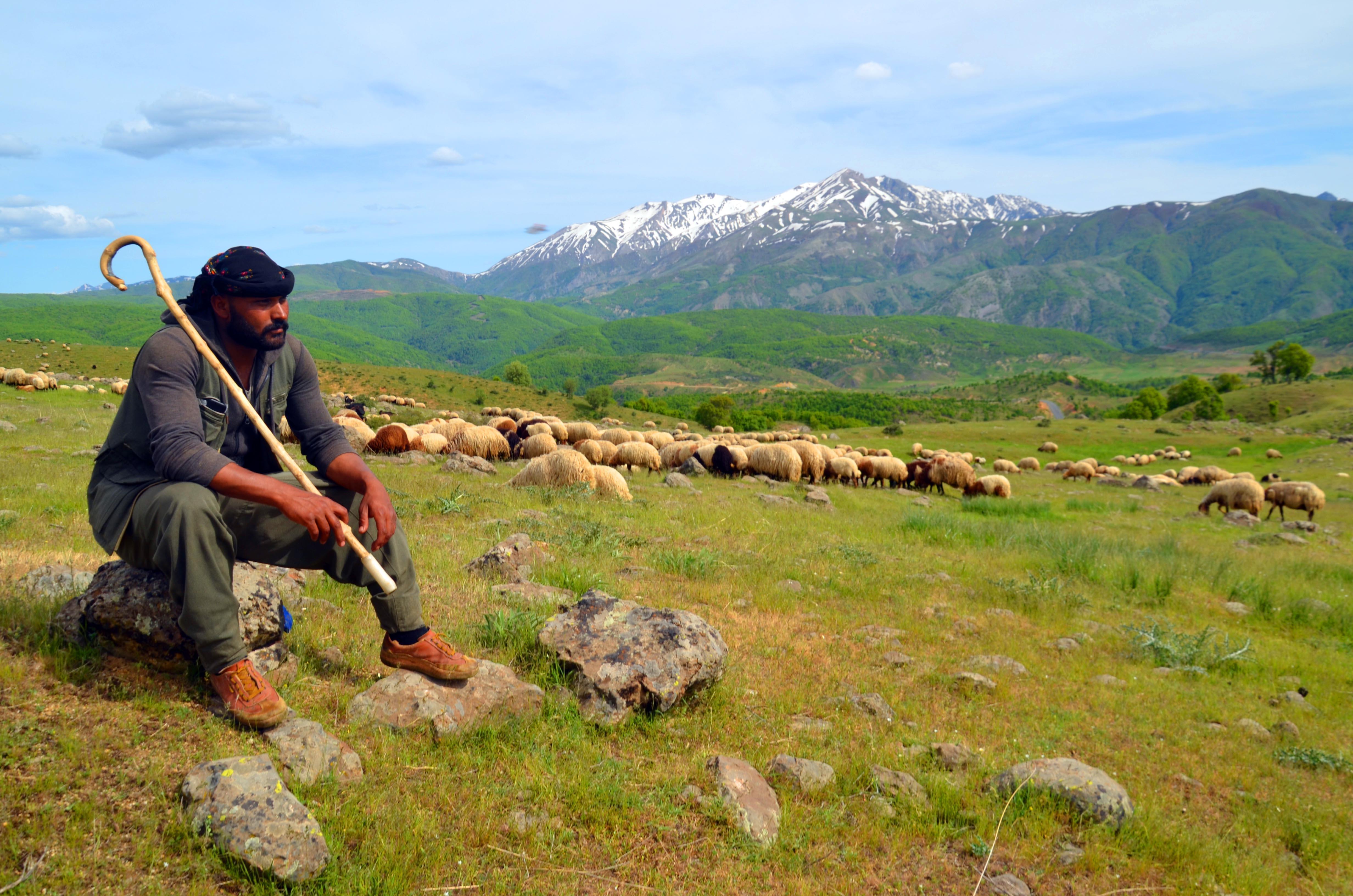 Muş’ta yaylalar şenlendi