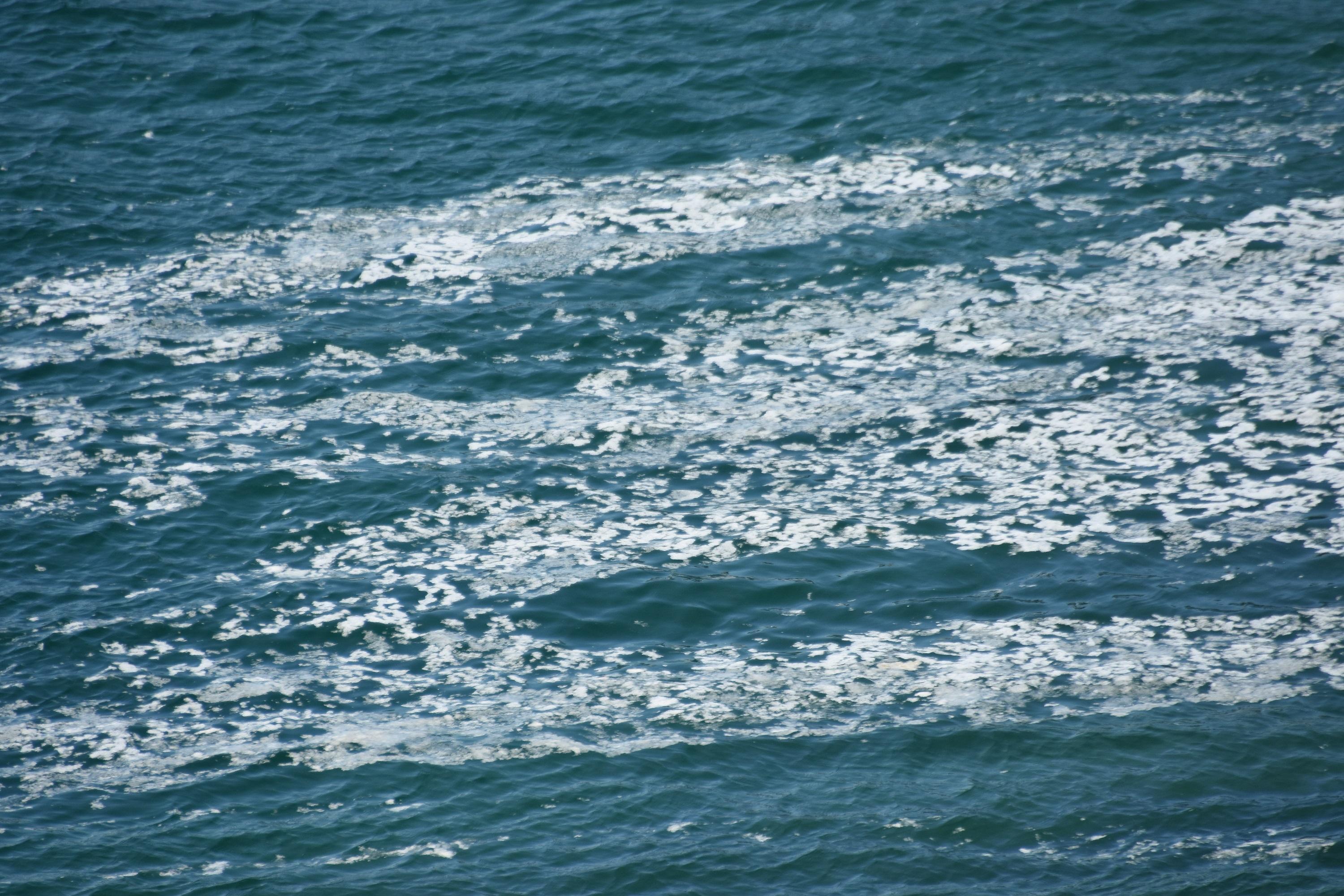 Rüzgar durdu, Çanakkale Boğazını yine deniz salyası kapladı