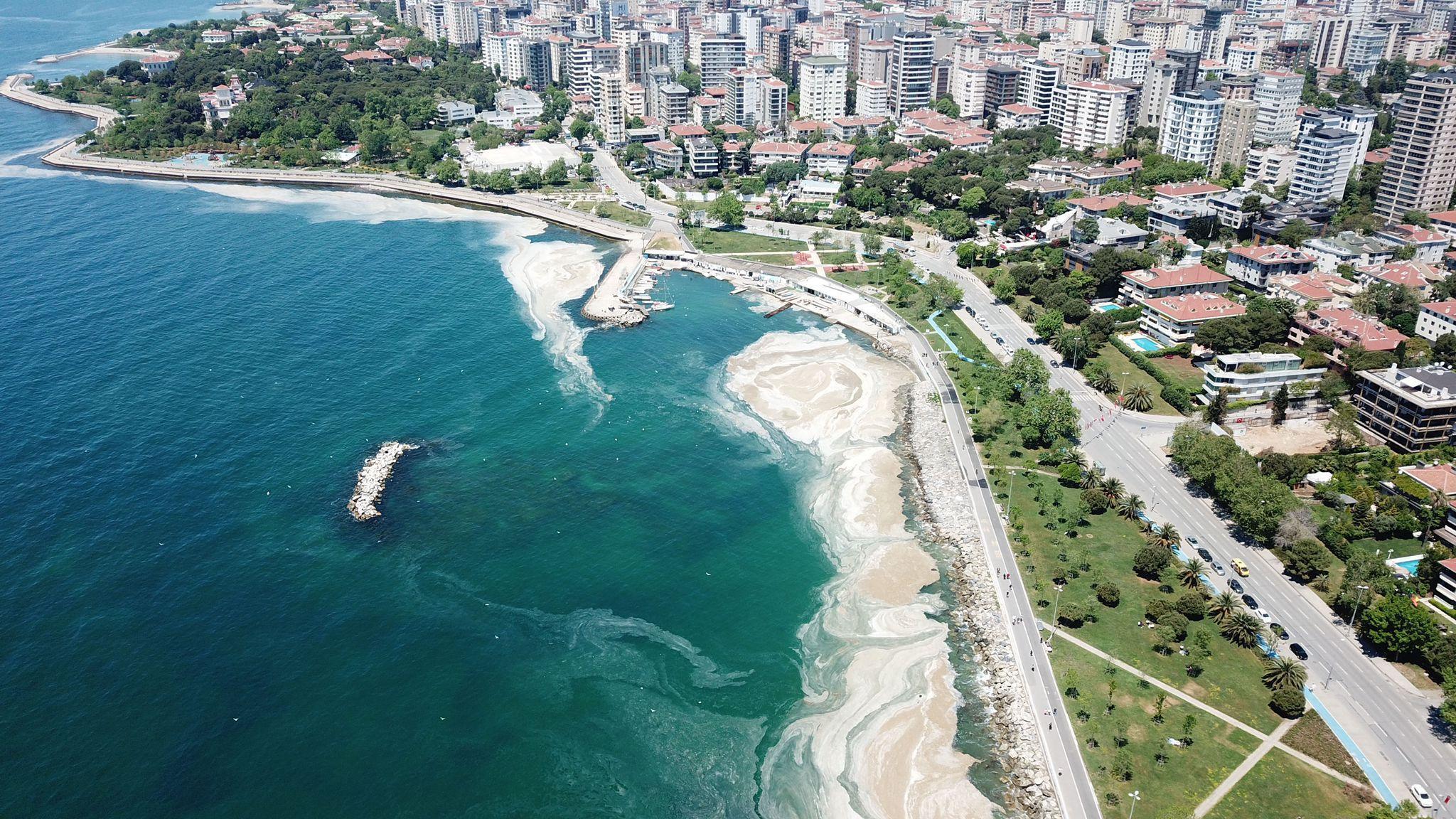 Kadıköy Caddebostan Sahilinde deniz salyası