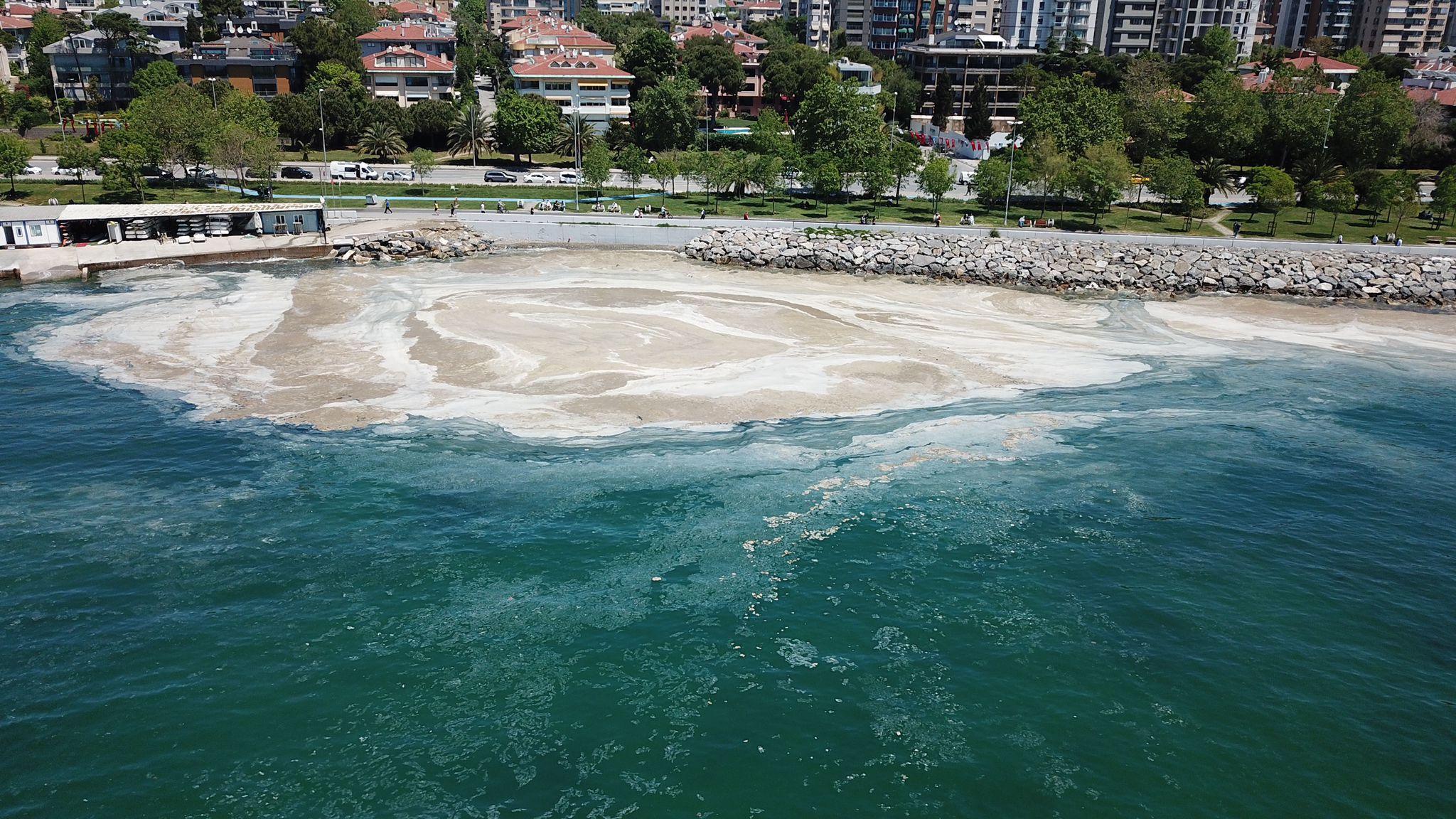 Kadıköy Caddebostan Sahilinde deniz salyası