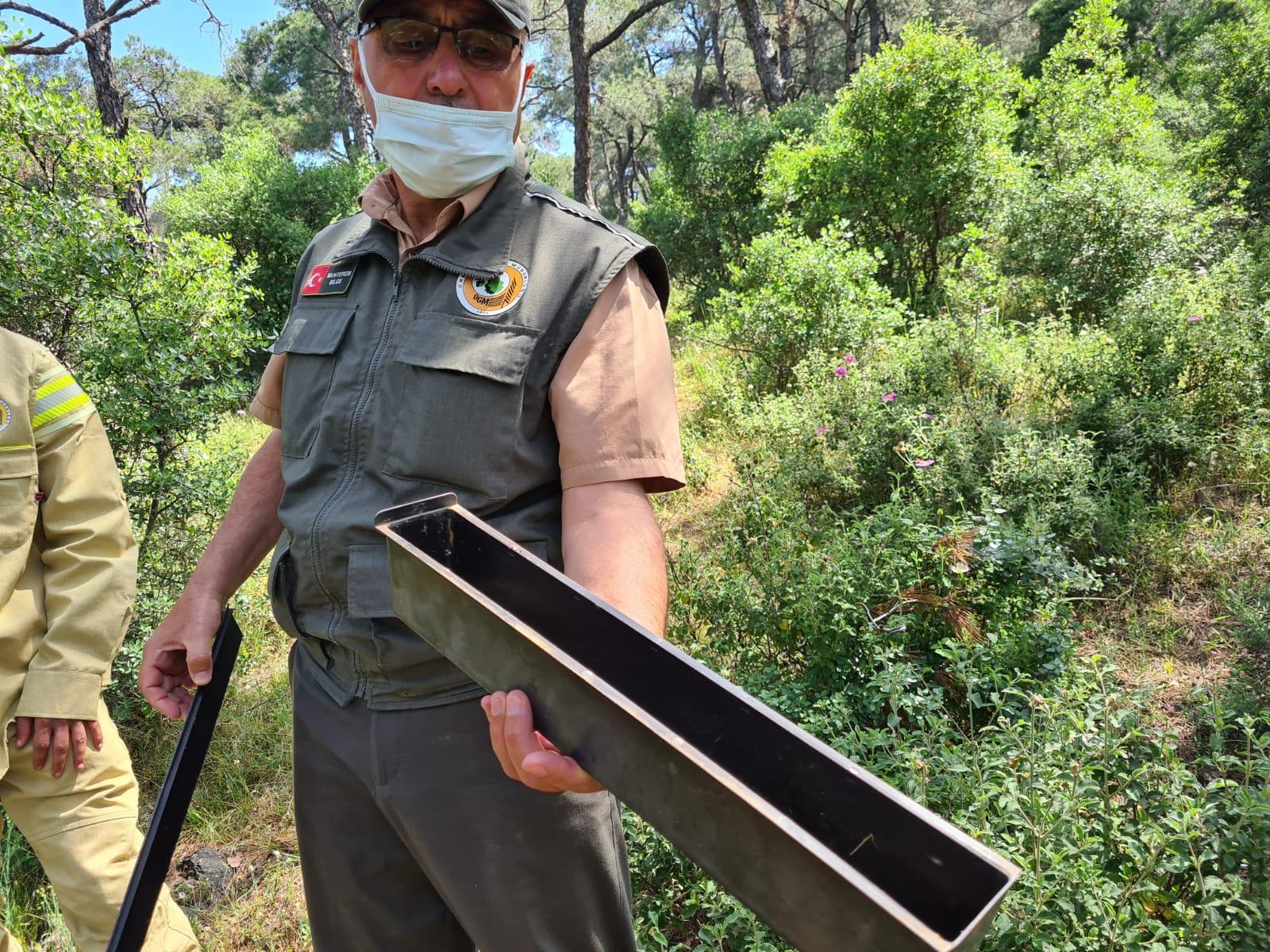 Adalarda ağaçlara 12 dişli kabuk böceği tehdidi