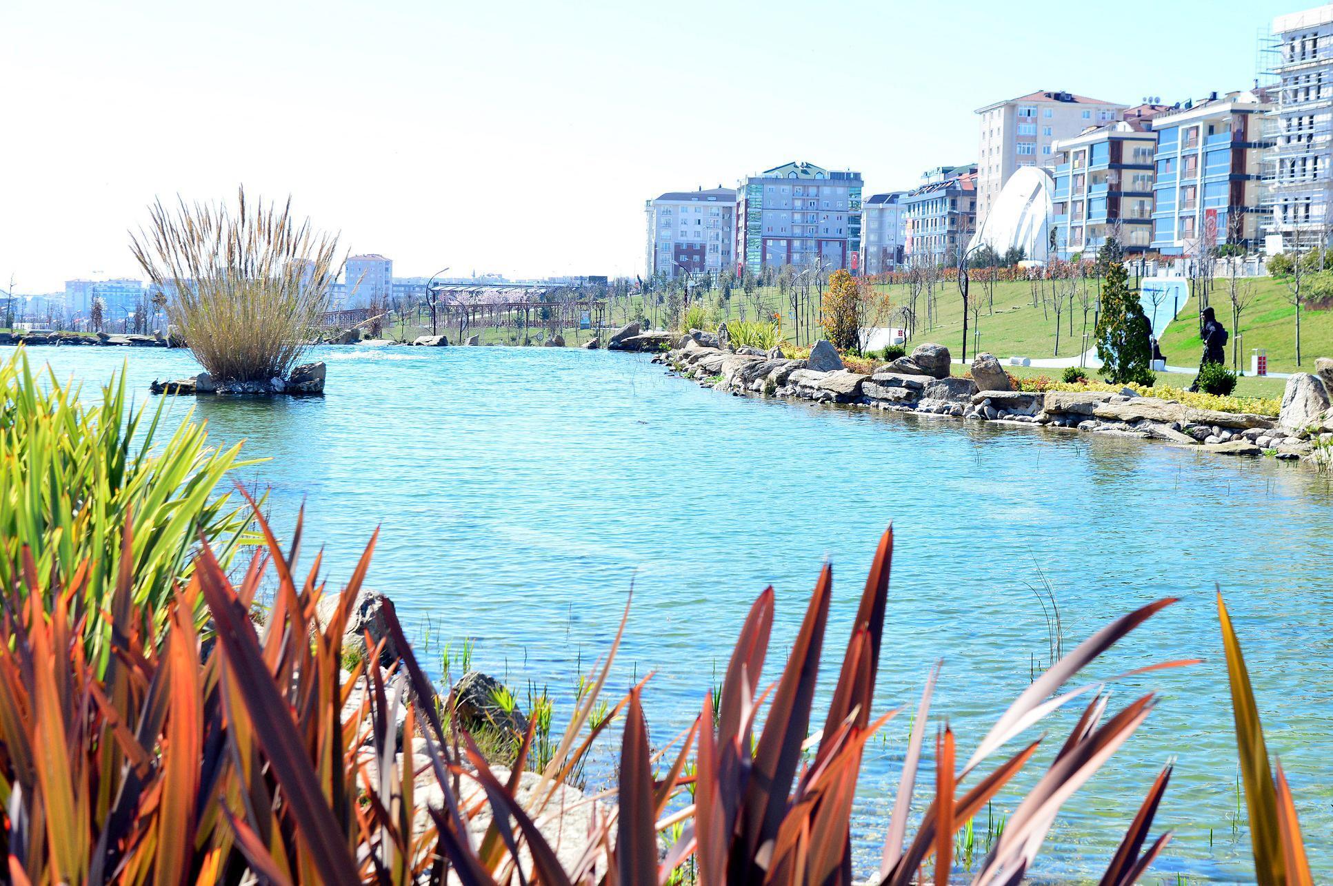 Beylikdüzü’nde nesli tükenmek üzere olan Fırat Kaplumbağası bulundu