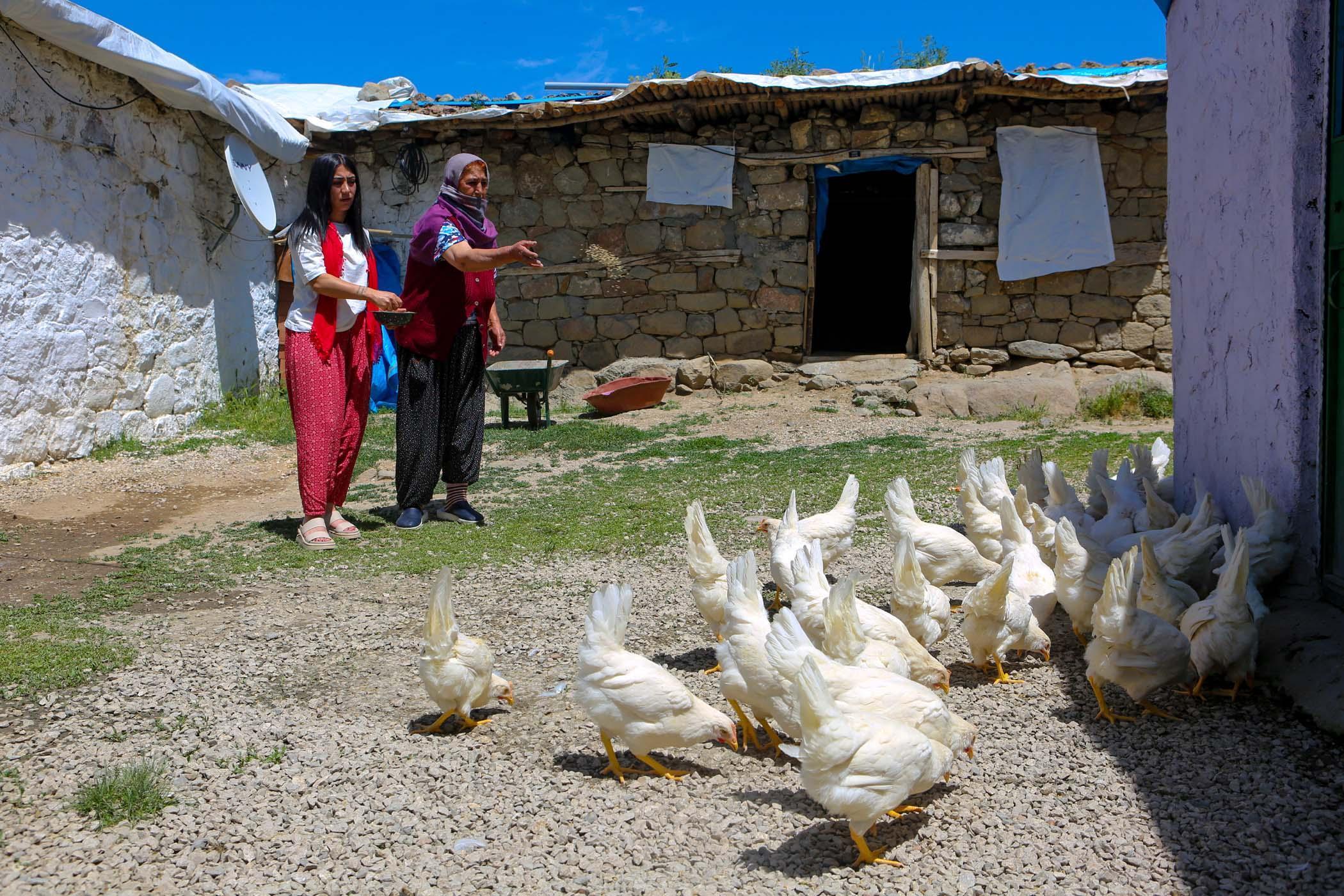 Köy köy gezip canlı tavuk dağıttılar