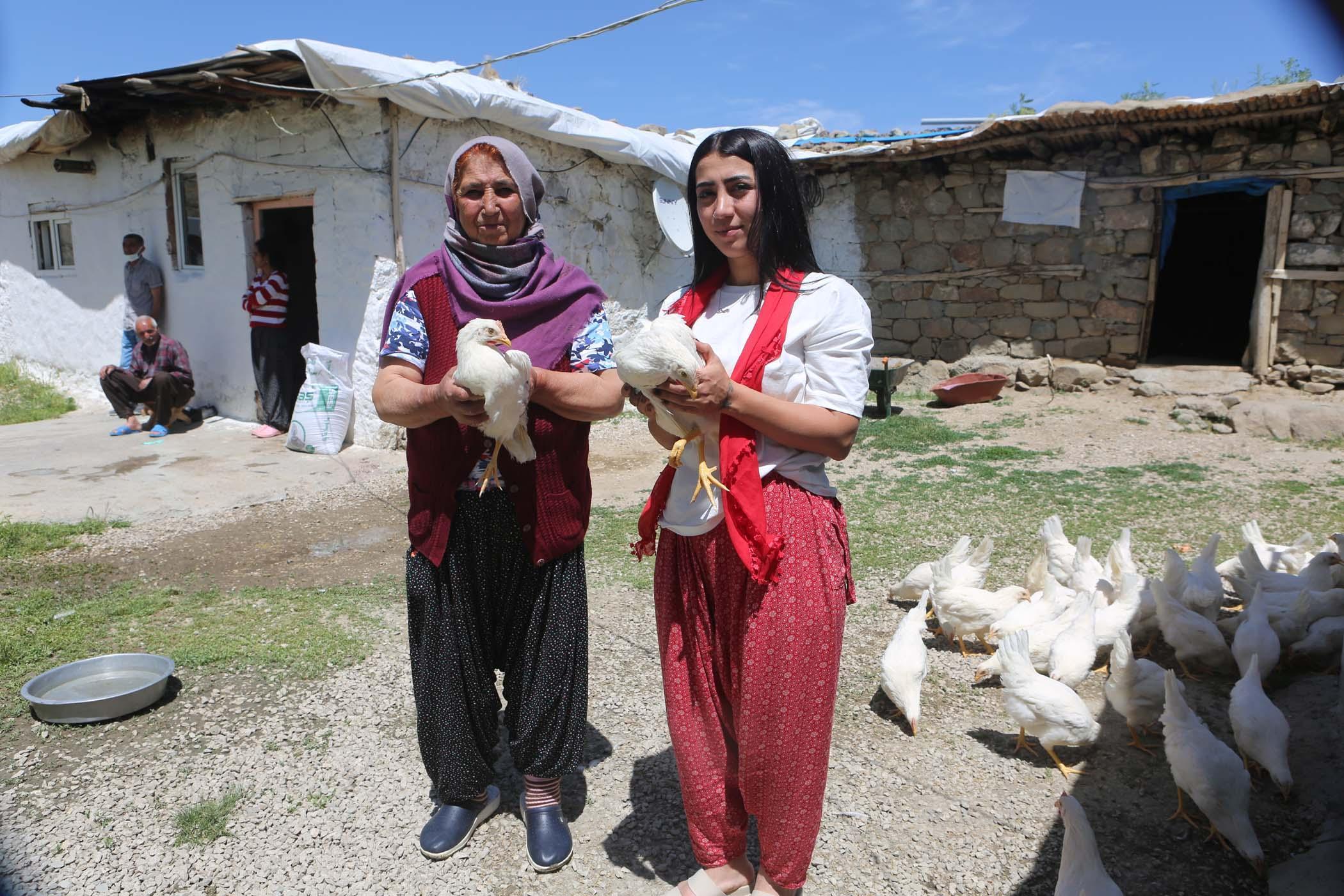 Köy köy gezip canlı tavuk dağıttılar