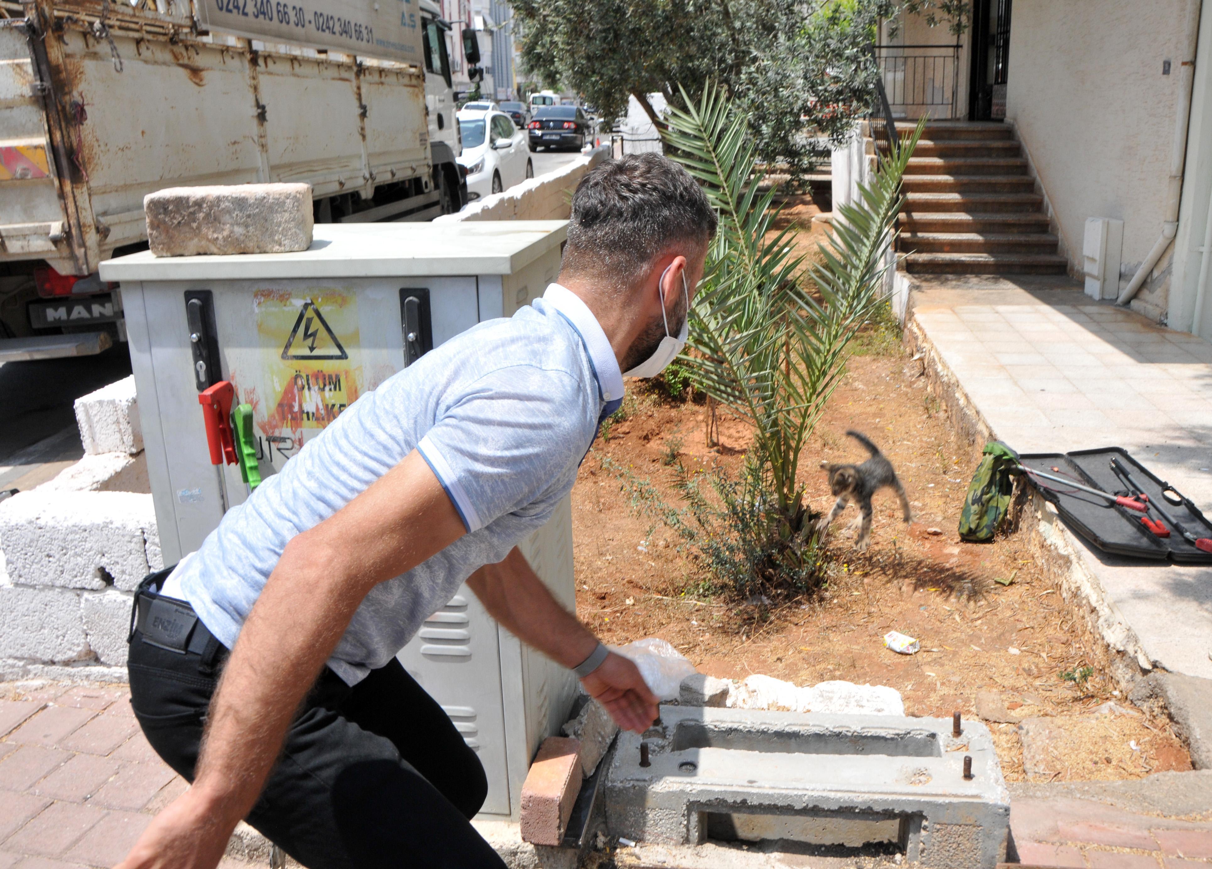 Yavru kediyi, kedi sesi dinleterek kurtardılar