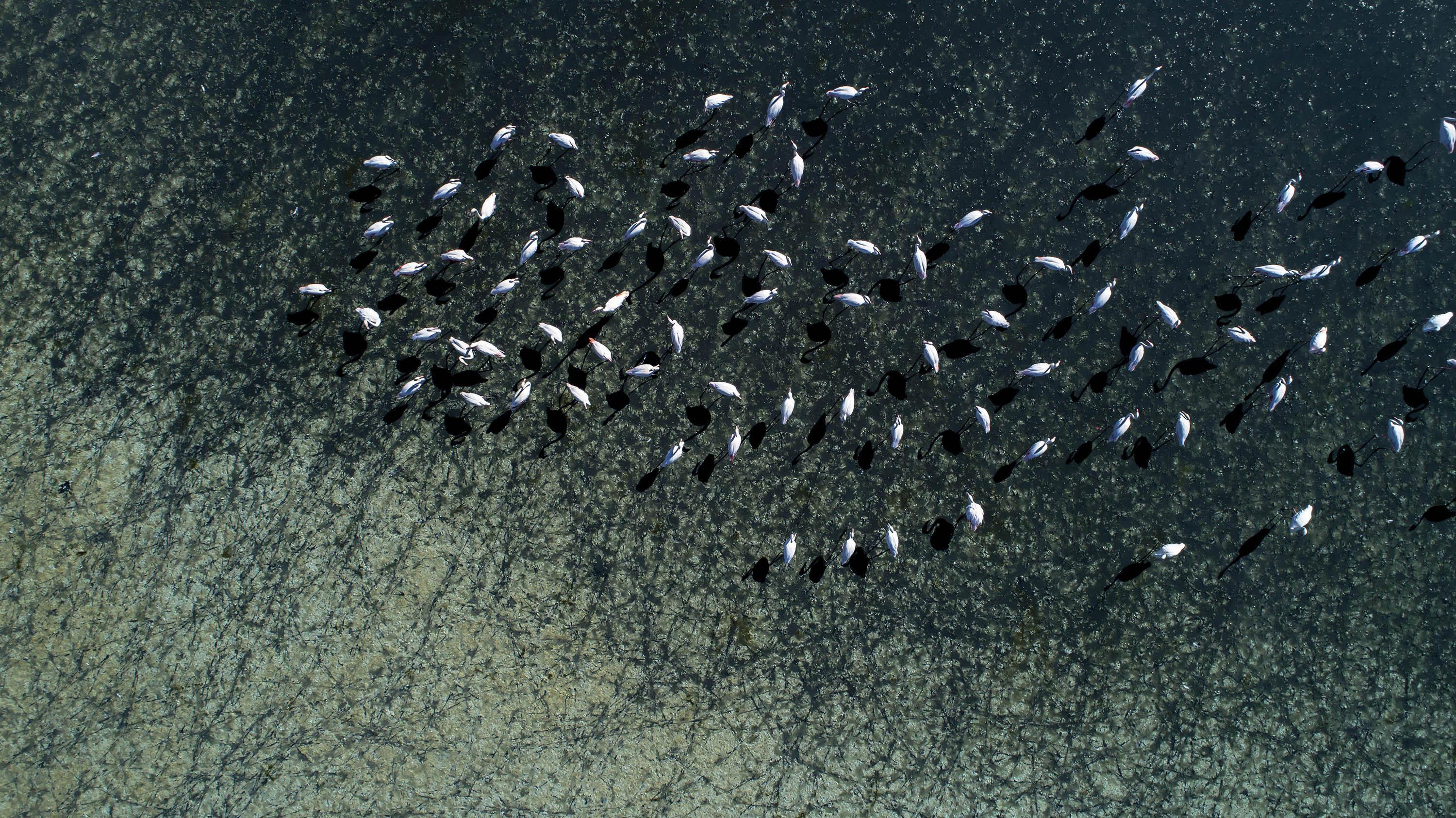 Flamingo cenneti Düden Gölü ile komşusu Küçük Göl kurudu