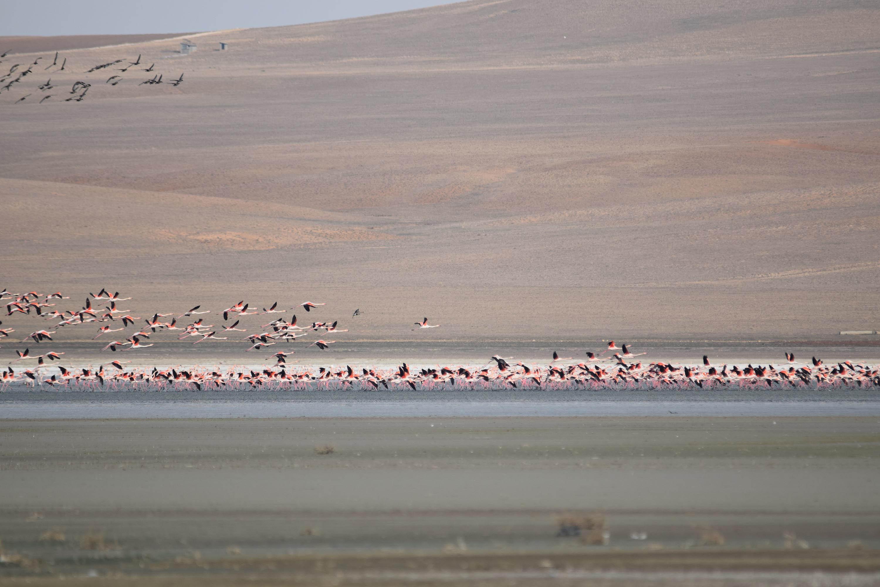 Flamingo cenneti Düden Gölü ile komşusu Küçük Göl kurudu