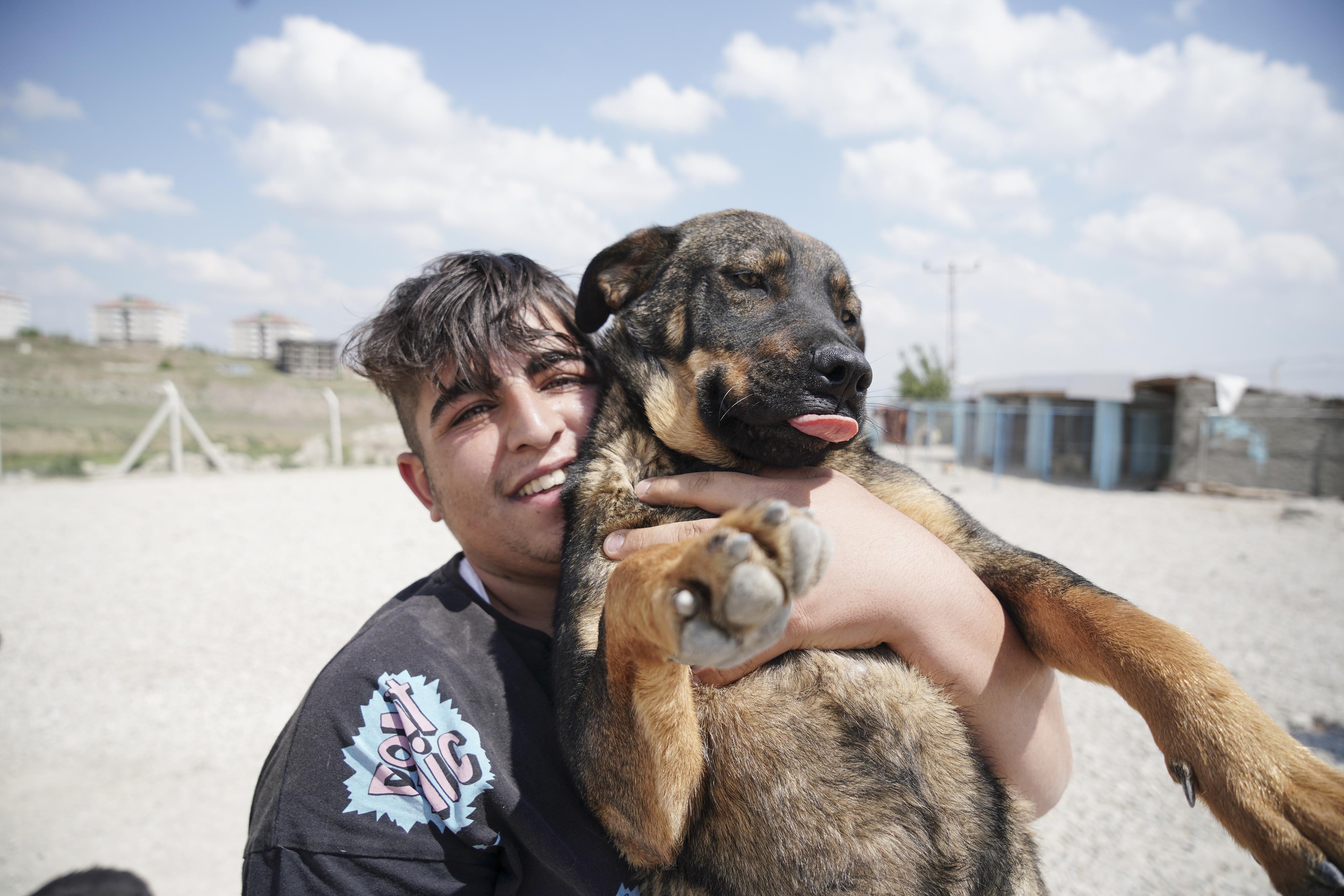Liseli Berzan, sokak köpeklerine yuva kurdu
