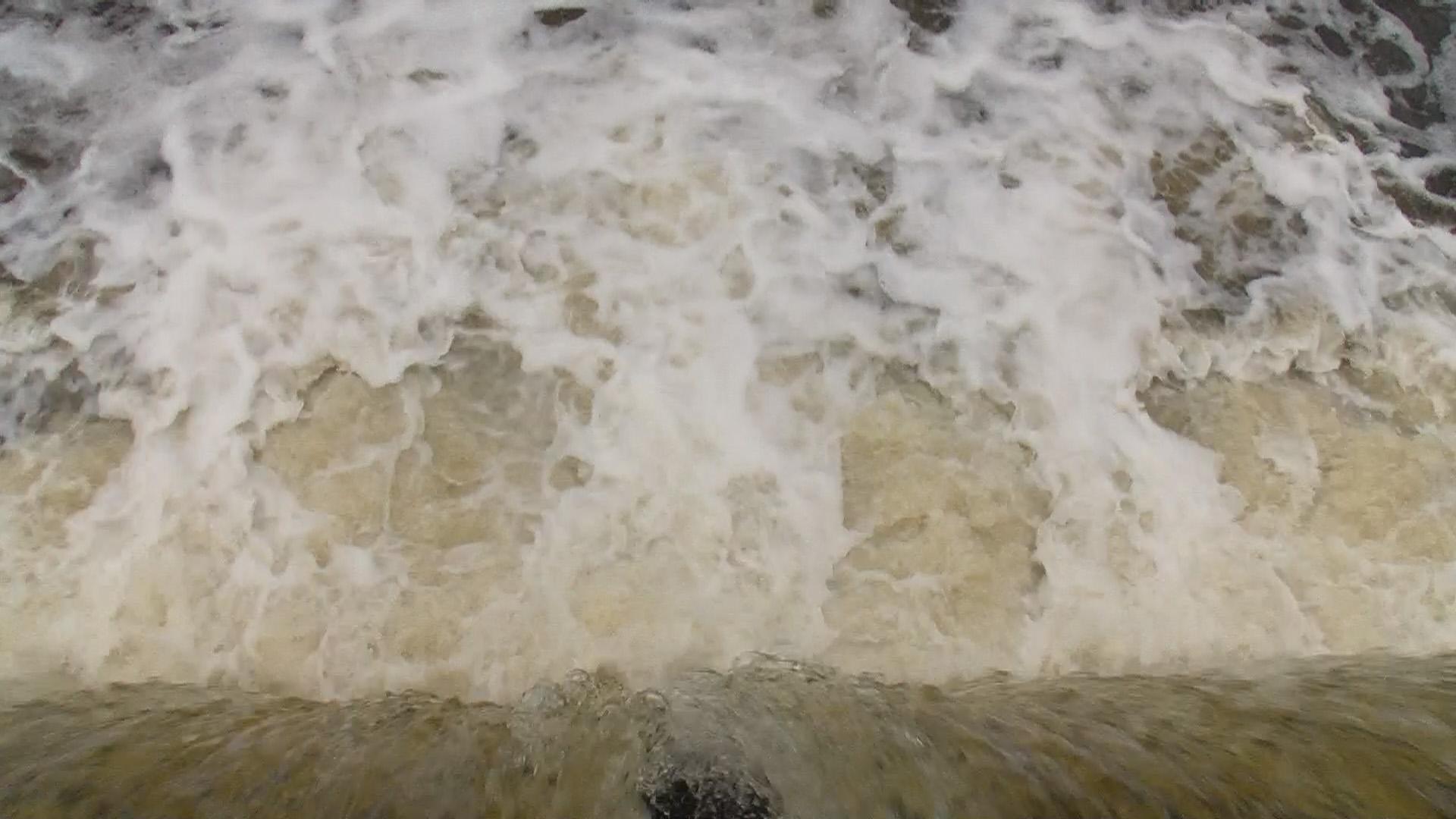 Doç. Dr. Balcı: Marmara denizi foseptik çukuru haline geldi