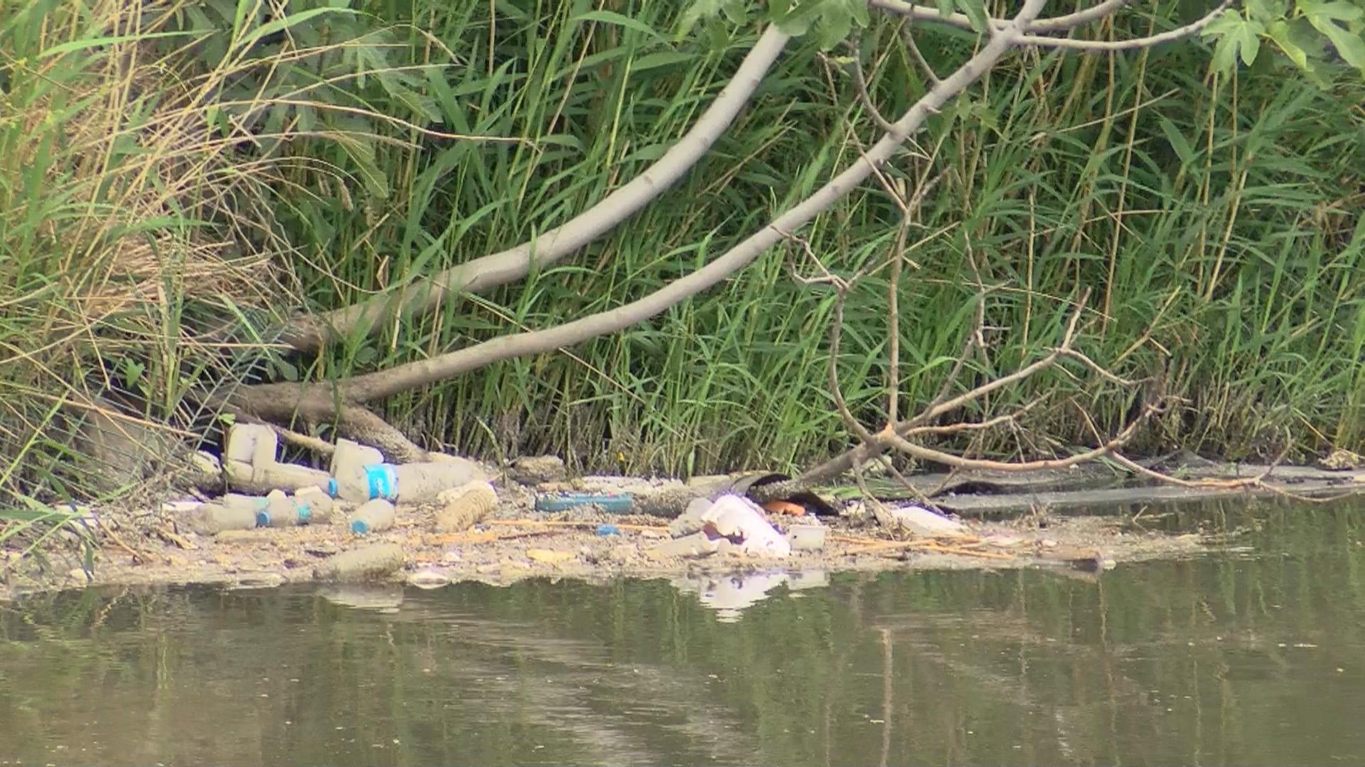 Doç. Dr. Balcı: Marmara denizi foseptik çukuru haline geldi