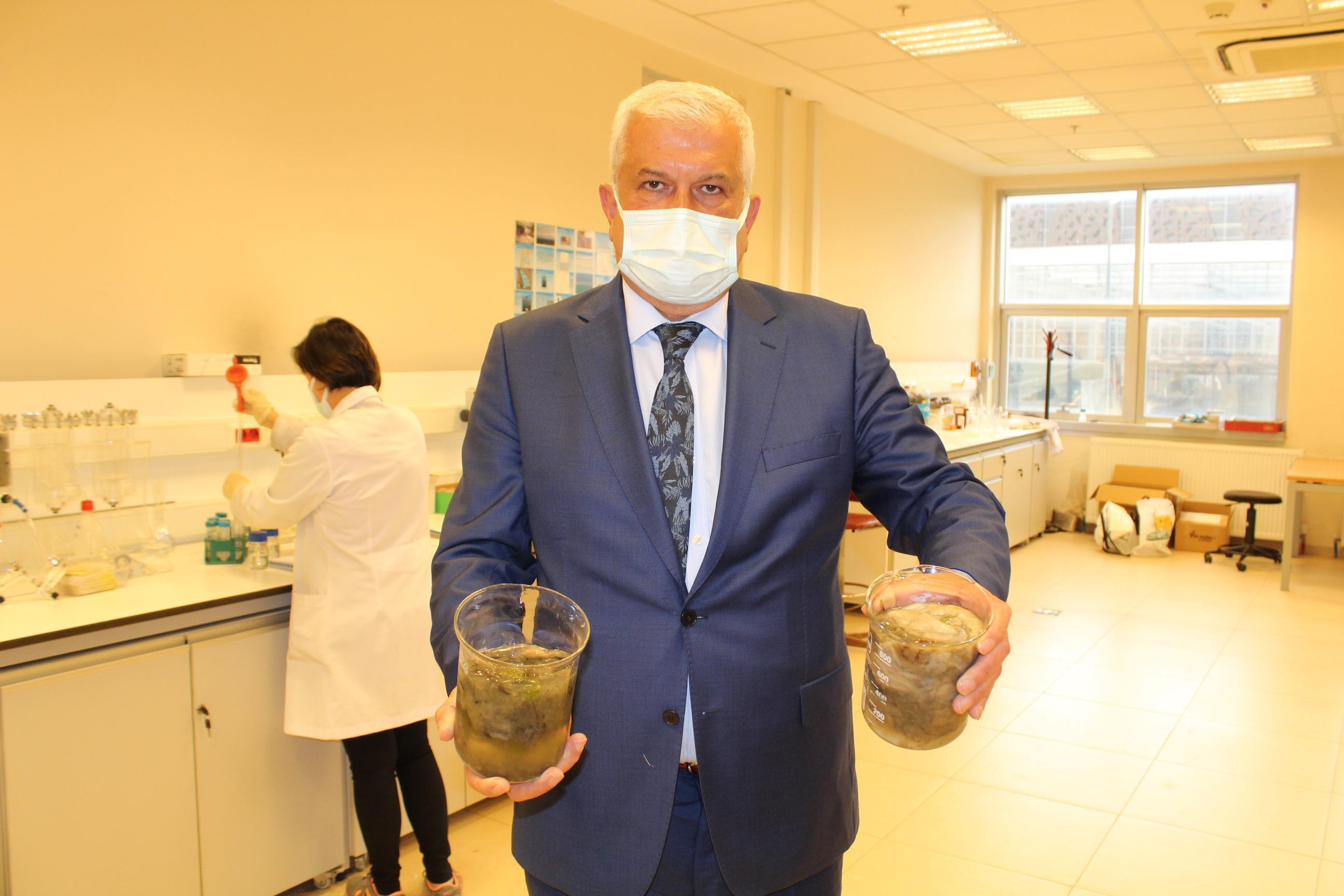 Gebze Teknik Üniversitesinden müsilaj için çevresel koşul araştırması