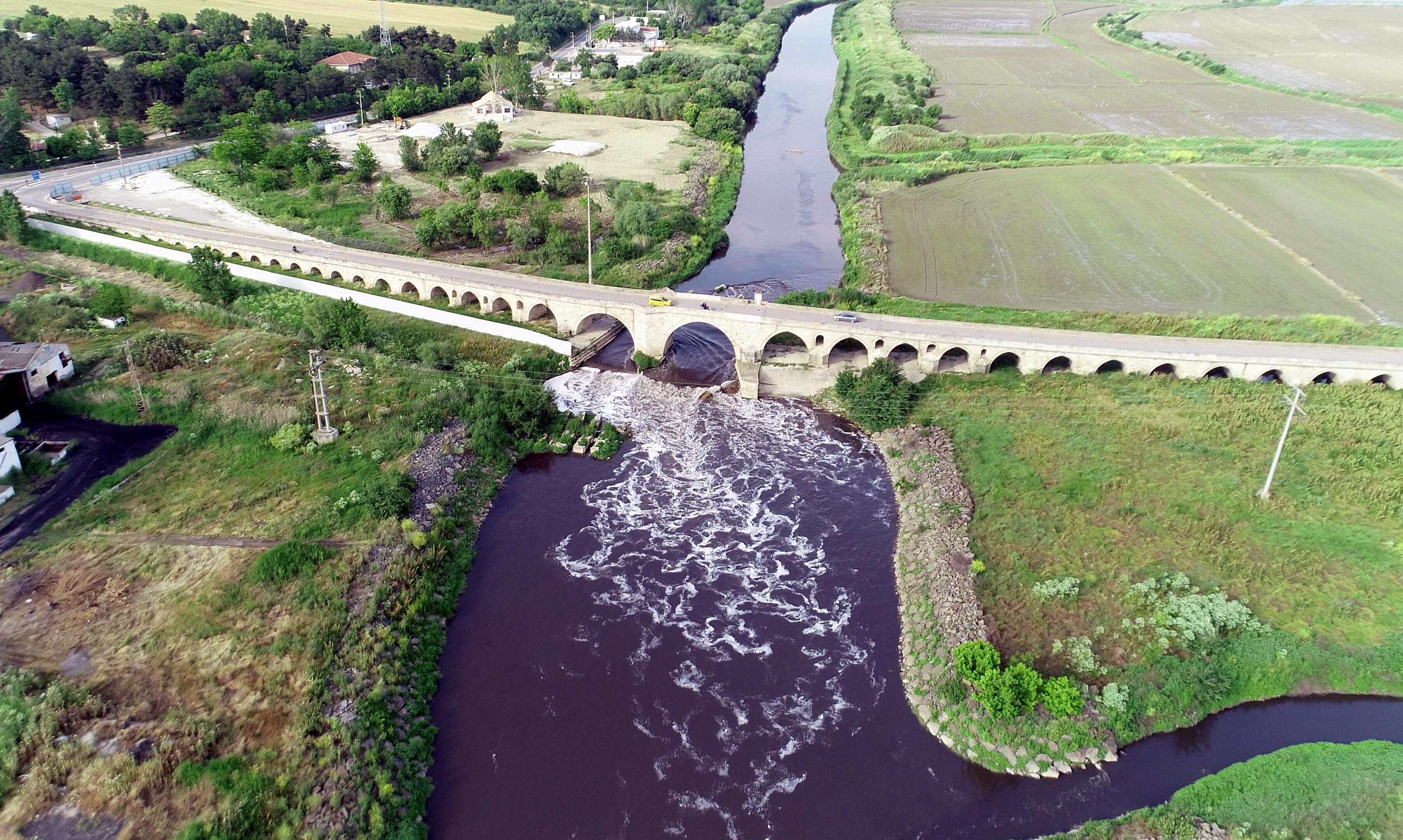 Yıldız Dağlarından berrak doğan Ergene Nehri, Trakyada zehir saçıyor