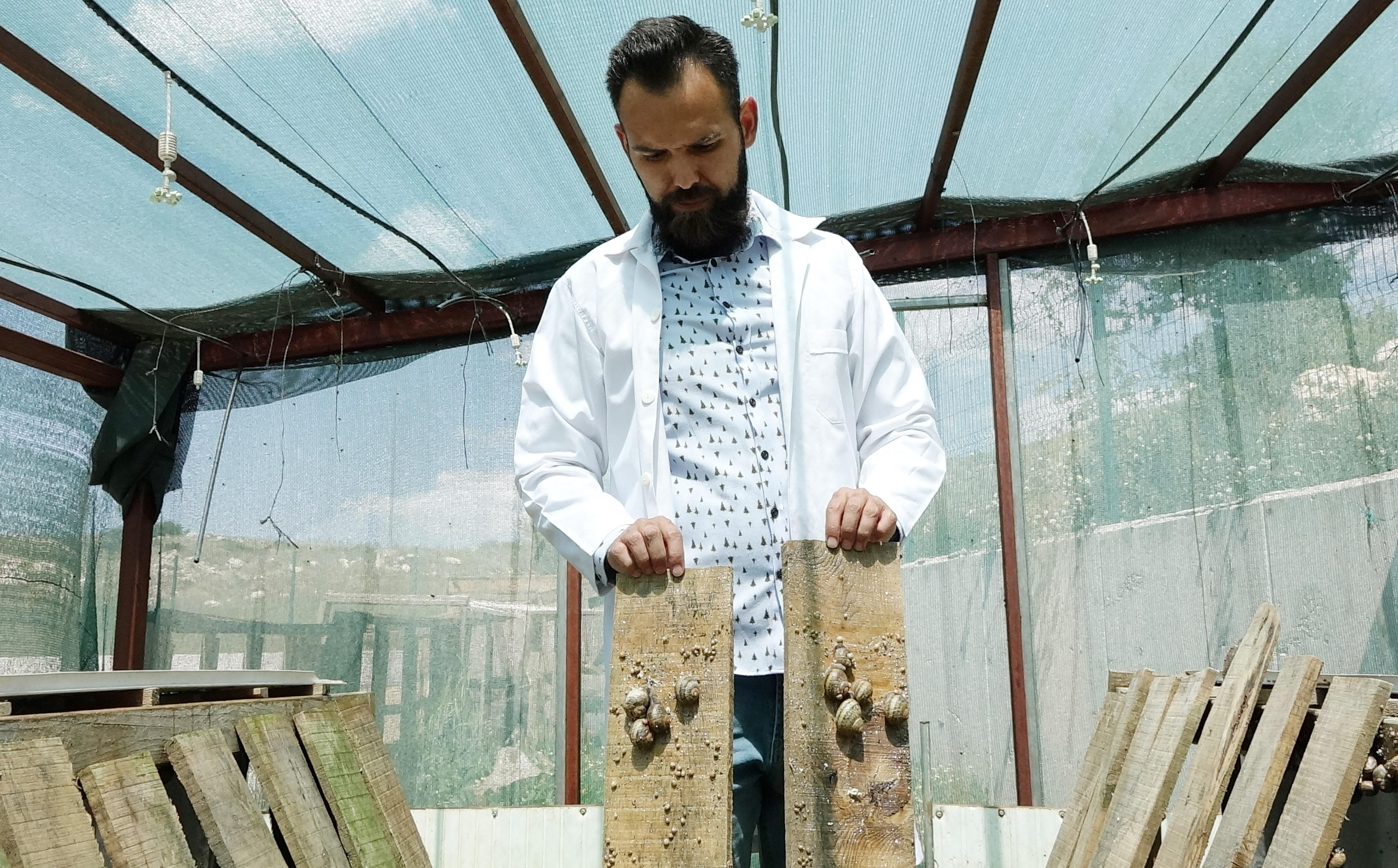 Salyangoz çiftliklerine ilk adım