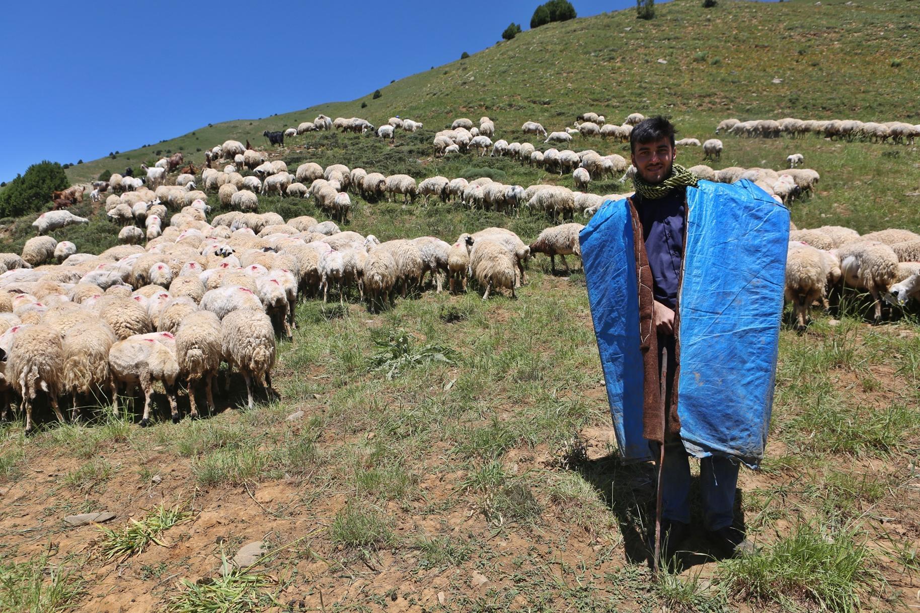 Çobanlık yaparken Robert Lisesini kazandı, sırada Tilburg Üniversitesi var