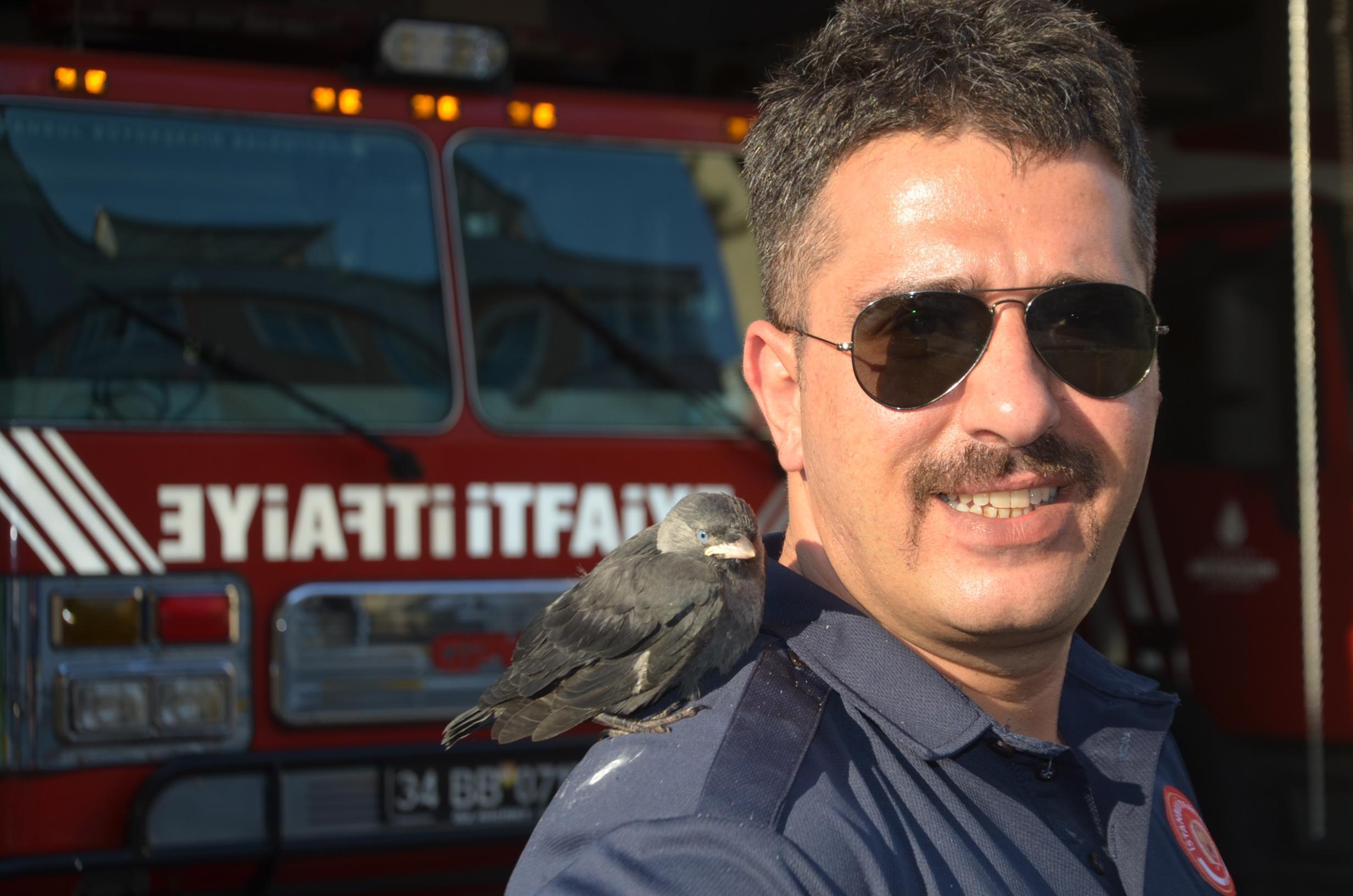 Yavru kuzgun kendisini kurtaran itfaiyeciden ayrılmıyor