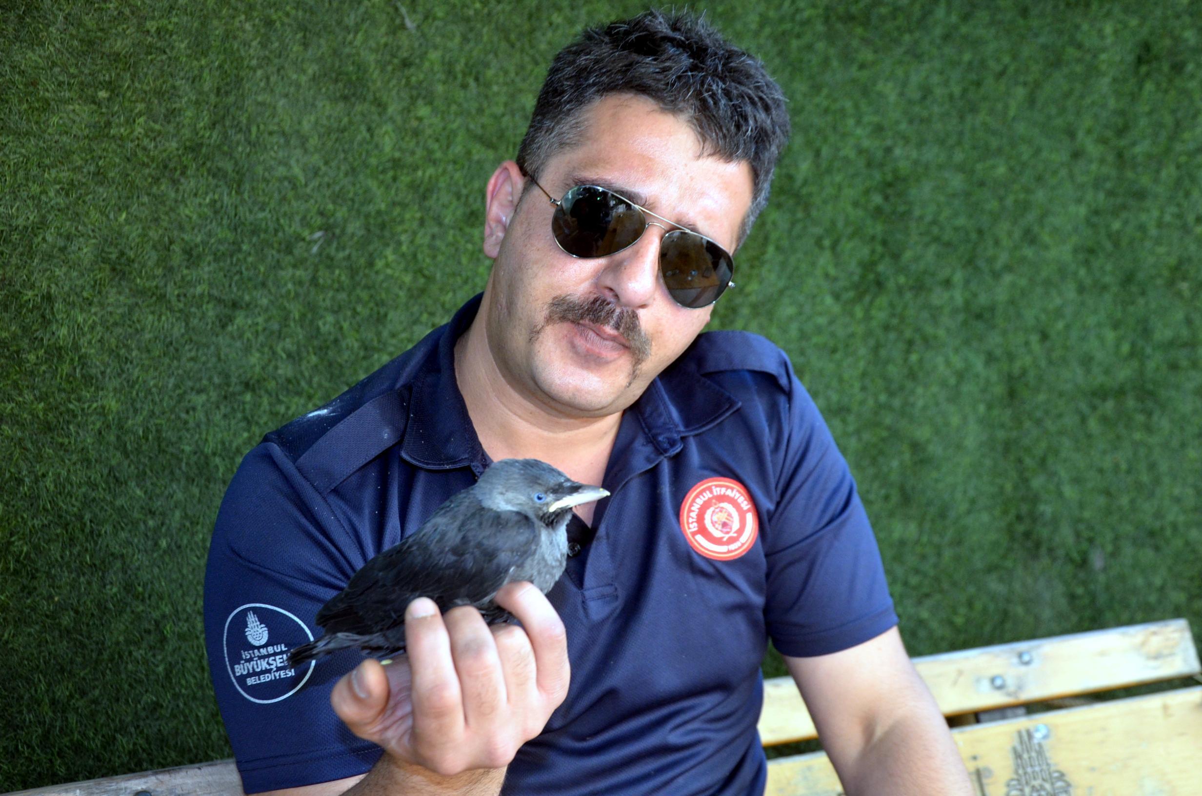 Yavru kuzgun kendisini kurtaran itfaiyeciden ayrılmıyor