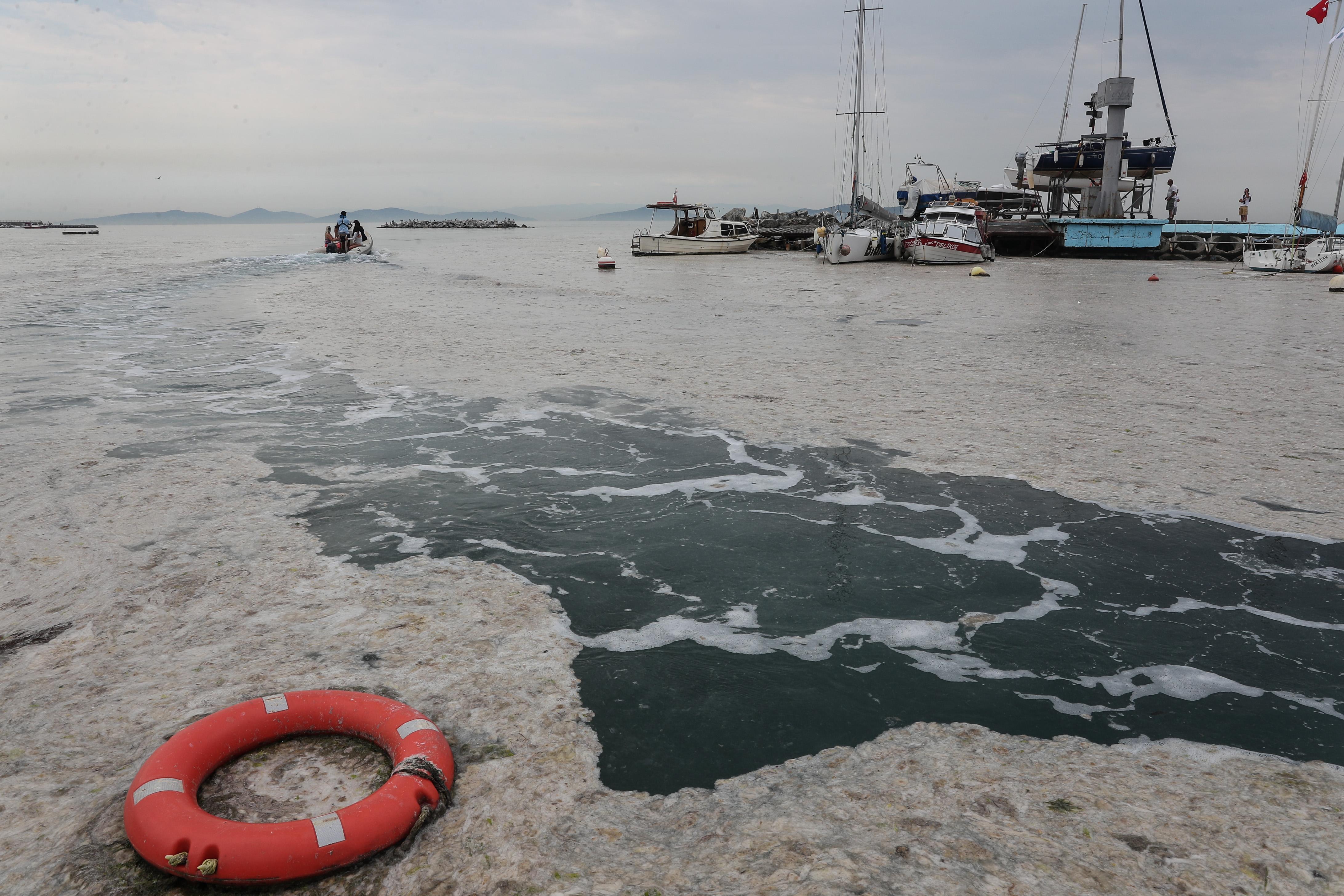 Kadıköy Kurbağalıdere ile sahilleri deniz salyası kapladı; ekipler temizlik çalışması yaptı