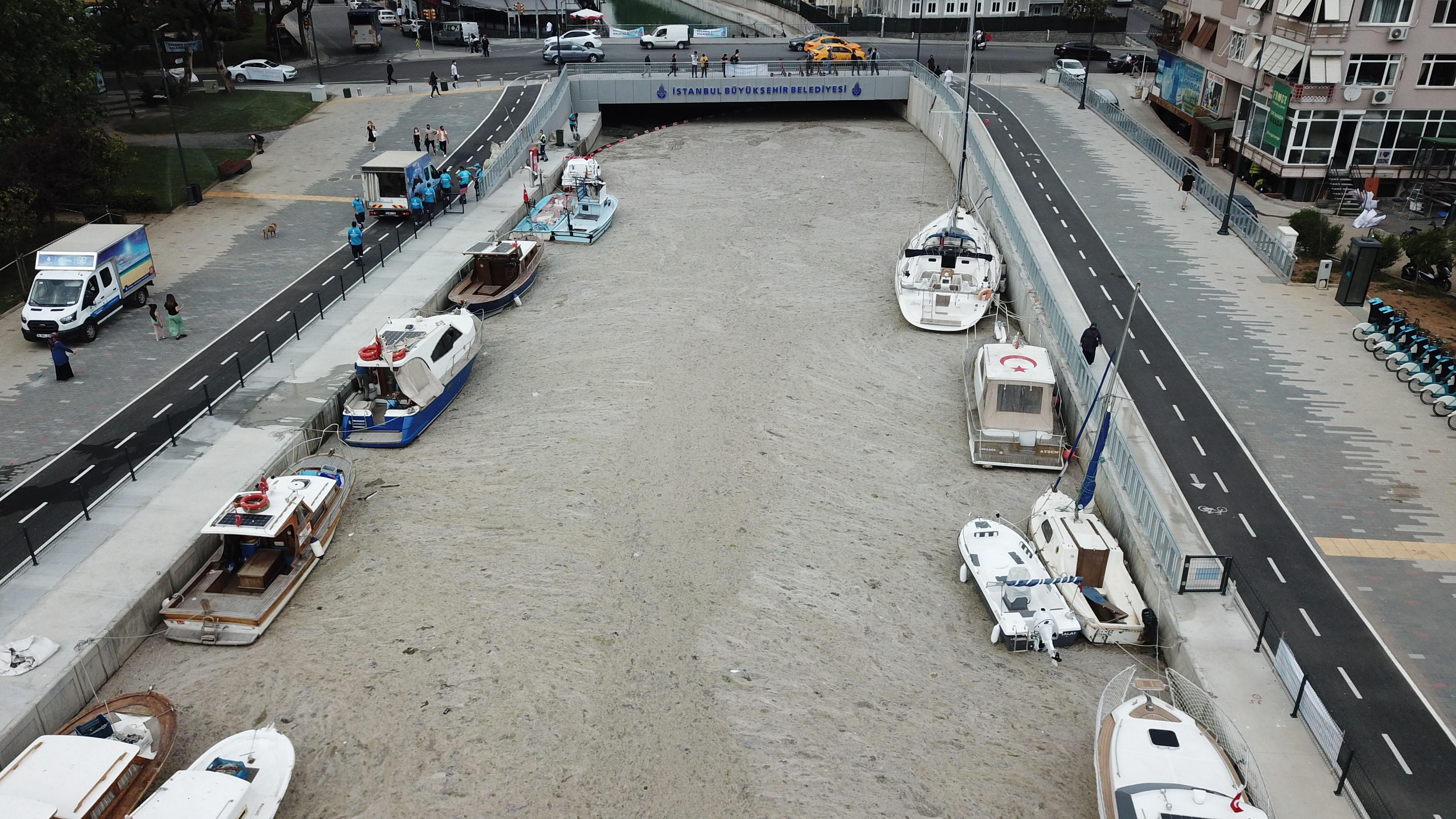 Kadıköy Kurbağalıdere ile sahilleri deniz salyası kapladı; ekipler temizlik çalışması yaptı