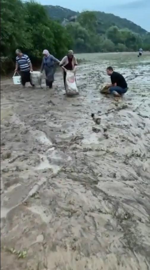 Sel sularıyla tarlalara sürüklenen balıkları topladılar