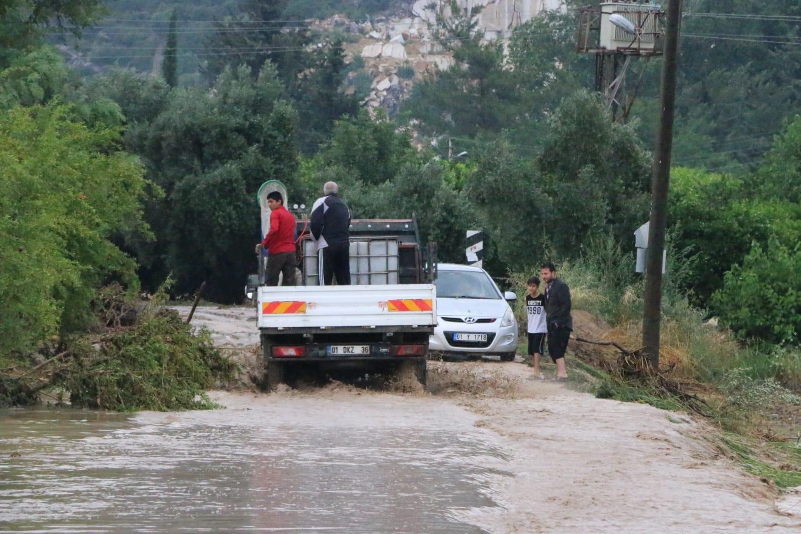 Sel sularıyla tarlalara sürüklenen balıkları topladılar