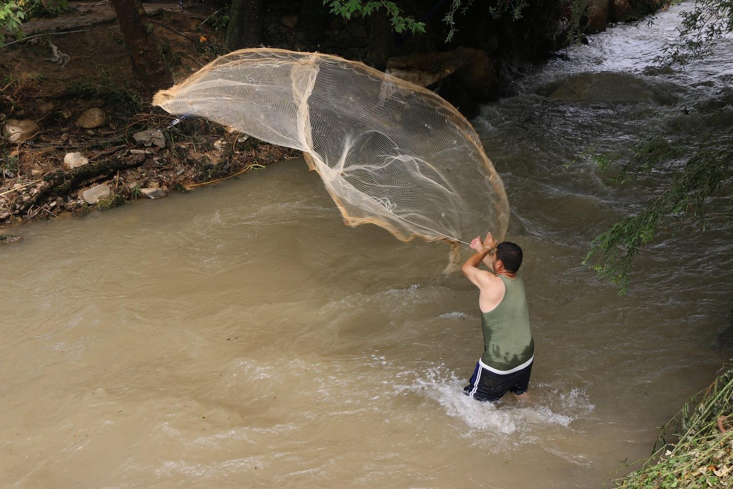 Sel sularıyla tarlalara sürüklenen balıkları topladılar