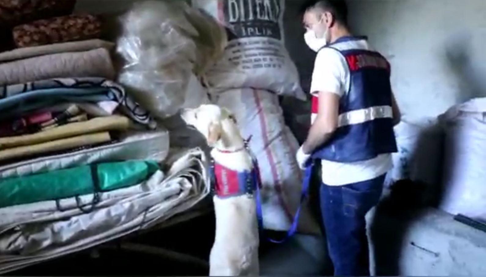 PKKya finans sağladığı iddiasıyla tutuklandı