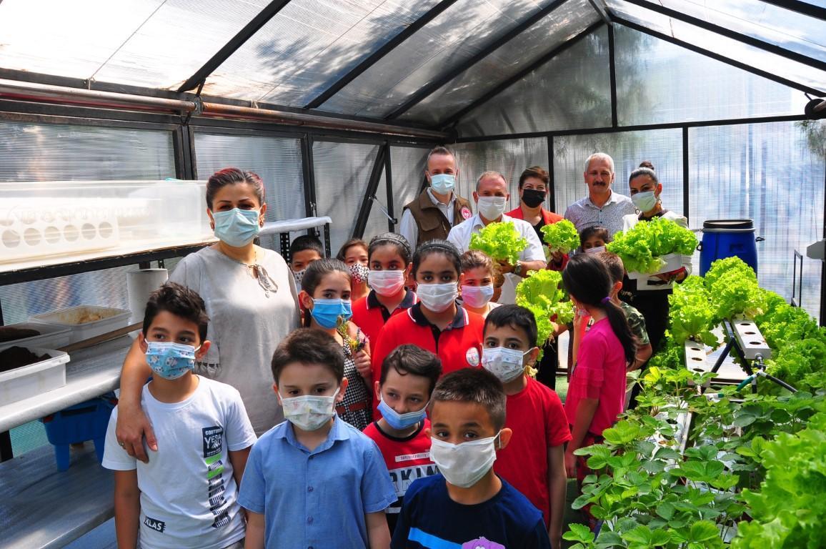 İlkokul öğrencilerinden, hasat şenliği