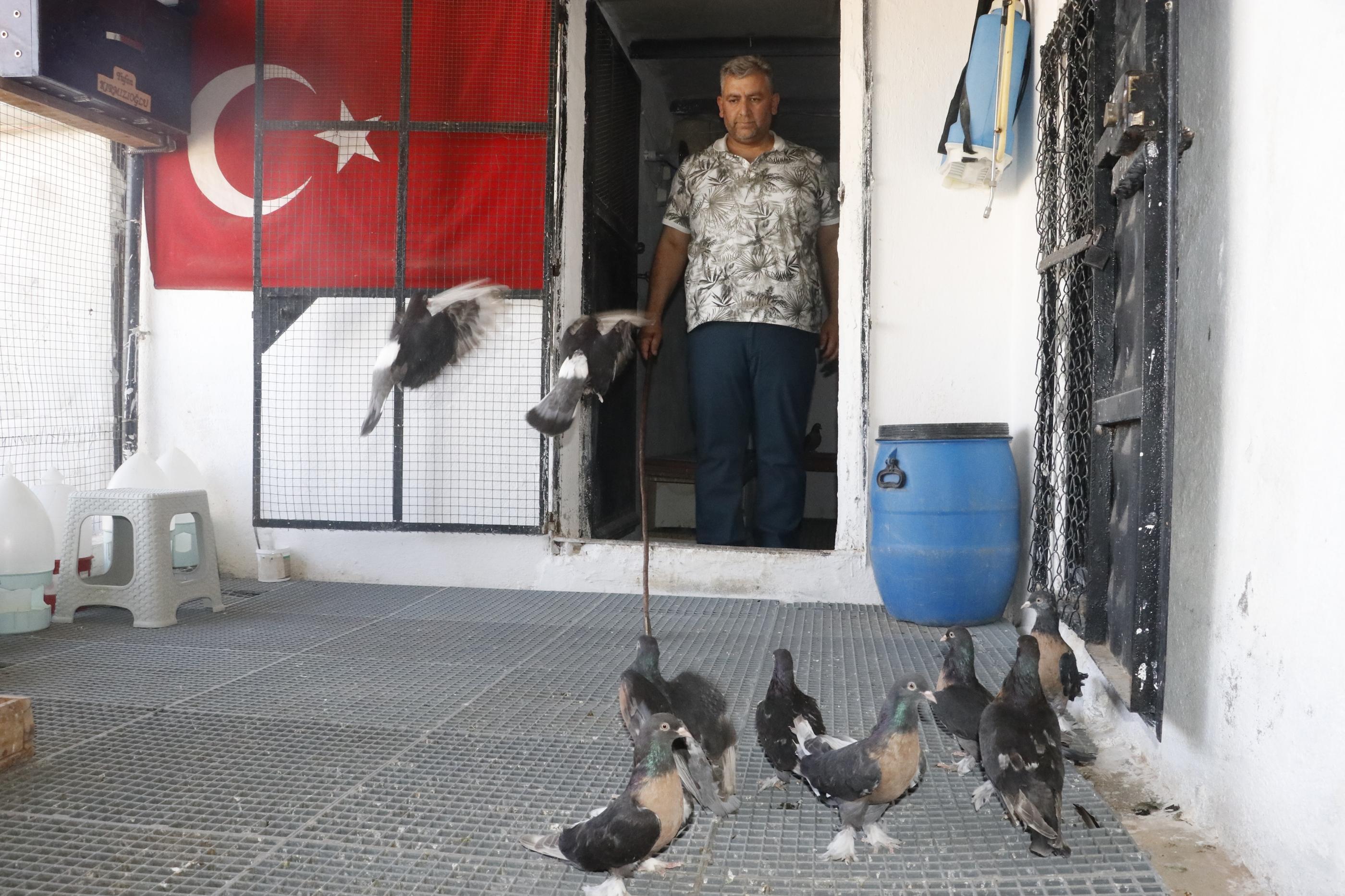 Güvercinleri için 40 bin TLye oda yaptırdı; yemlerine yılda 20 bin TL harcıyor