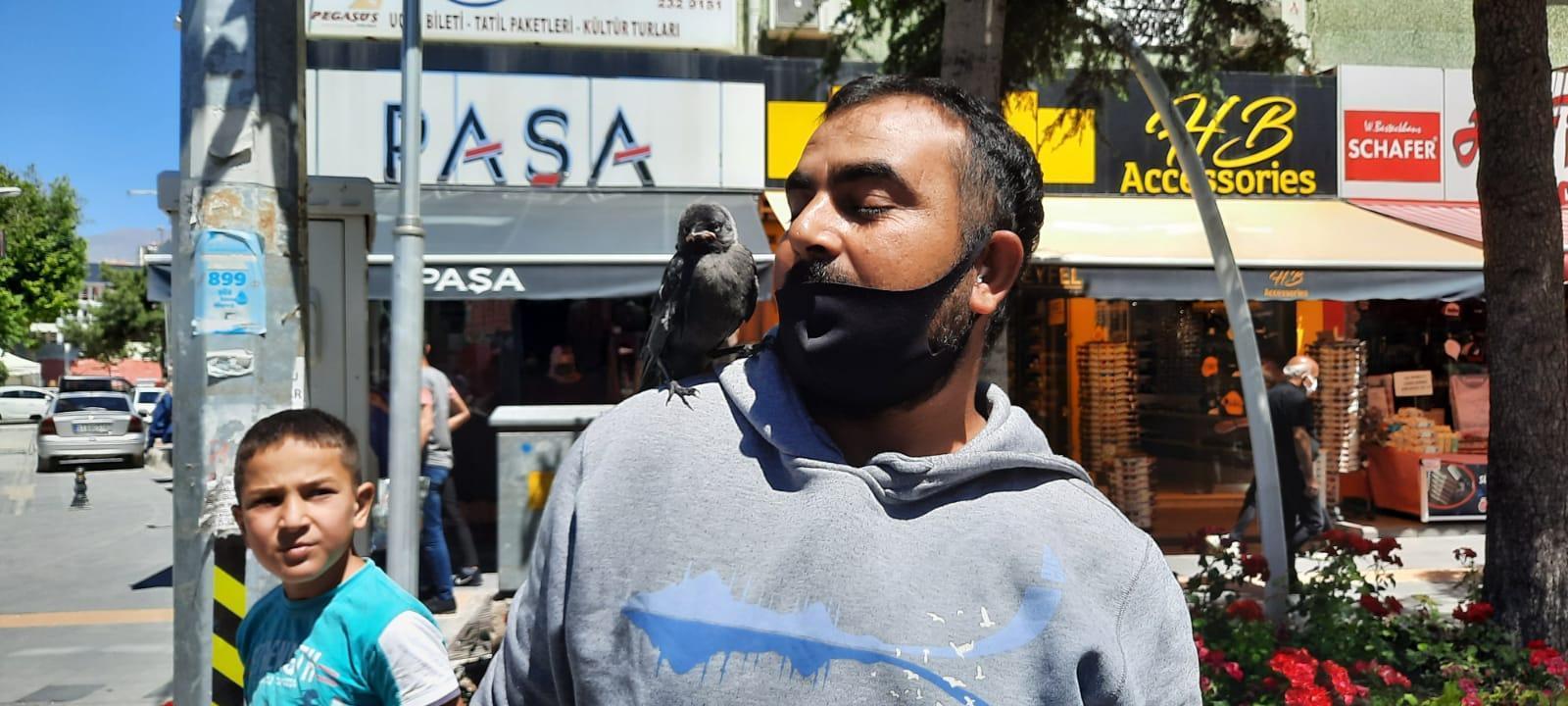 4 aydır beslediği karga yavrusu omzundan inmiyor