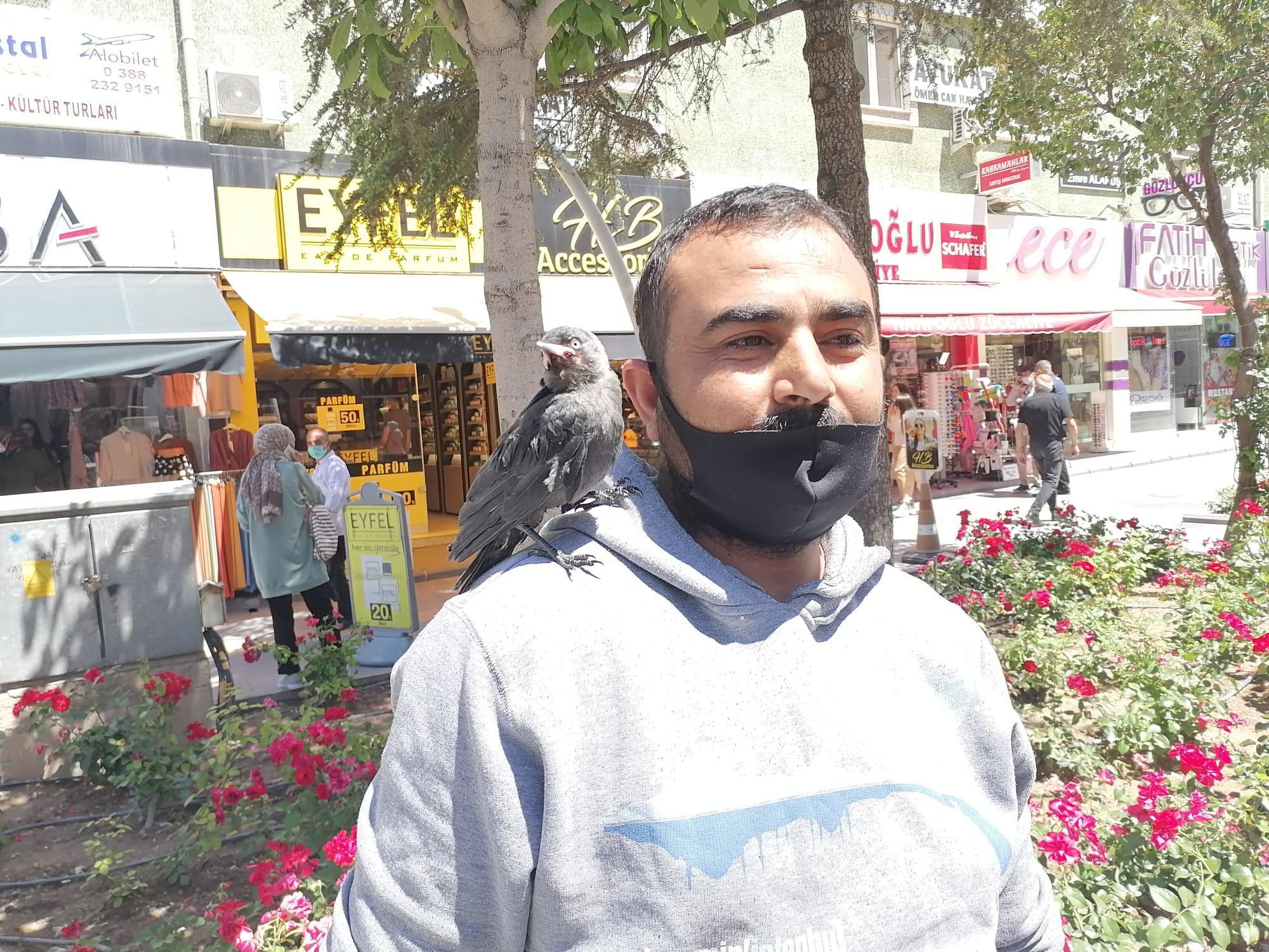 4 aydır beslediği karga yavrusu omzundan inmiyor