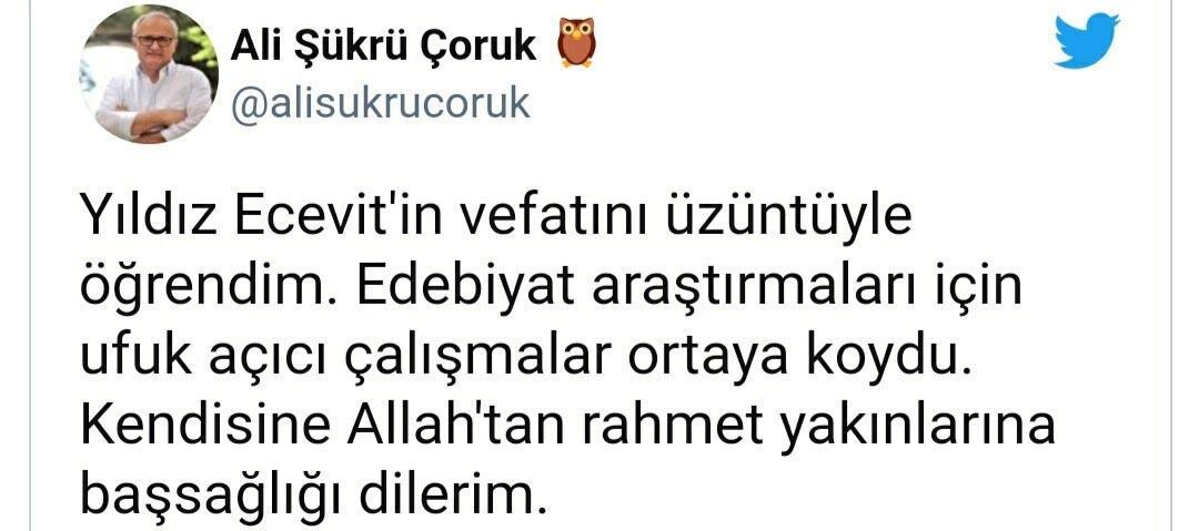 Yazar ve akademisyen Prof. Dr. Yıldız Ecevit hayatını kaybetti