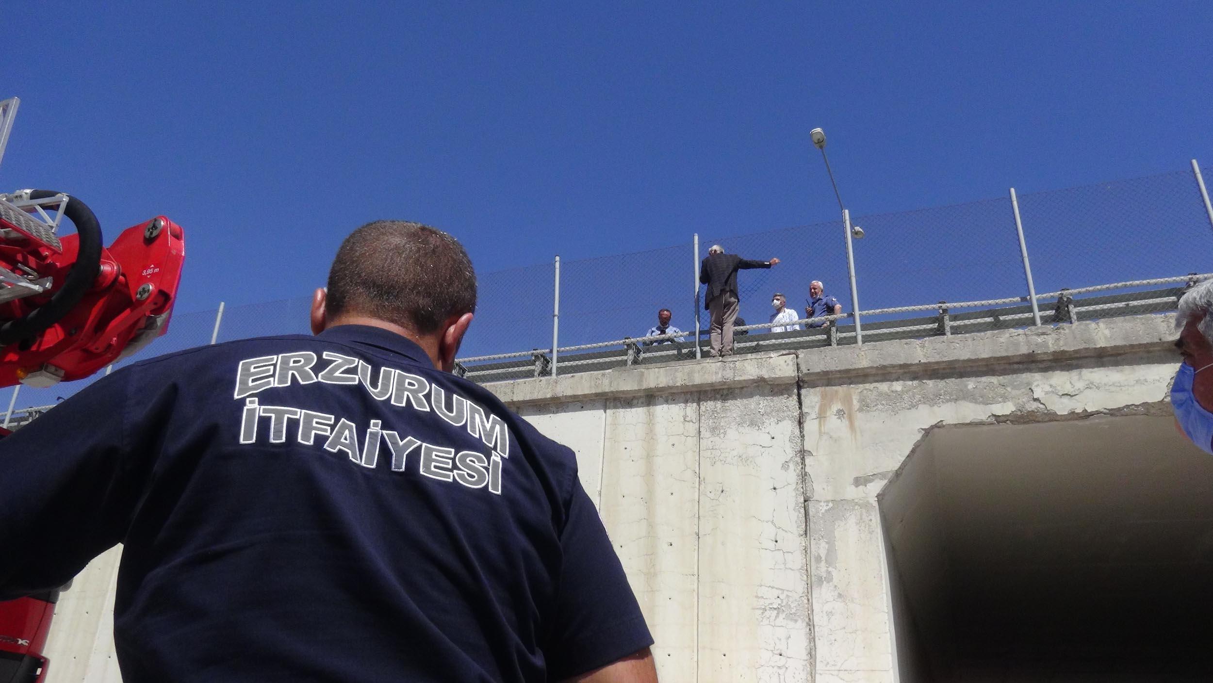 İneklerinin otlatılmasına izin verilmeyince köprüye çıktı