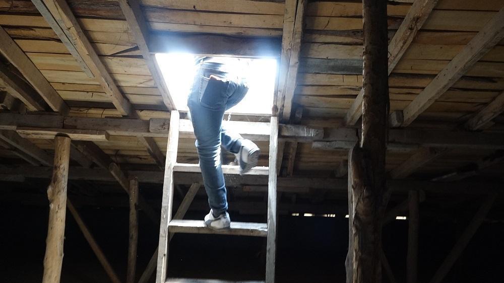 Saklandığı çatıya ikna için gelen polislere yılan var dedi