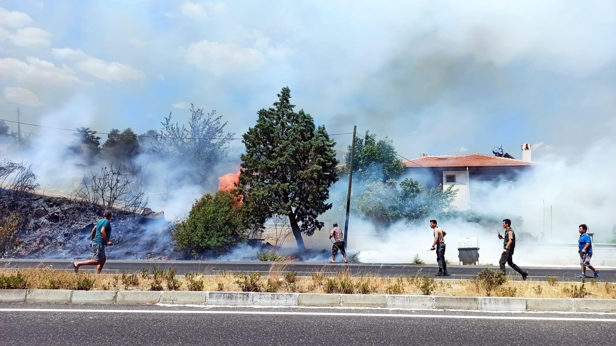 Ulada orman yangını; 2 ev tahliye edildi
