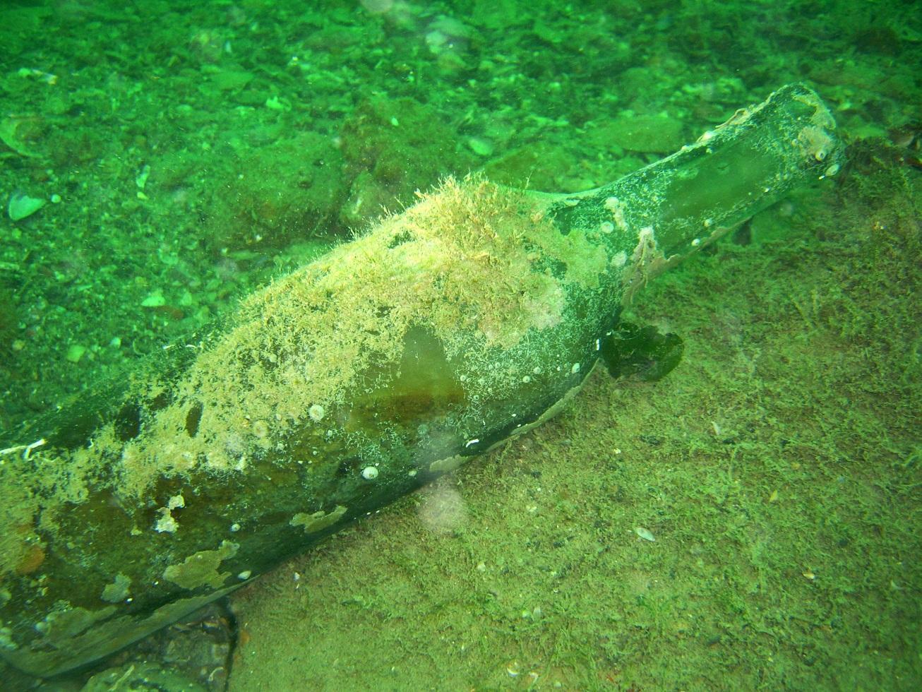 Bottles from Bosphorus shed light on the consumption history of Istanbul