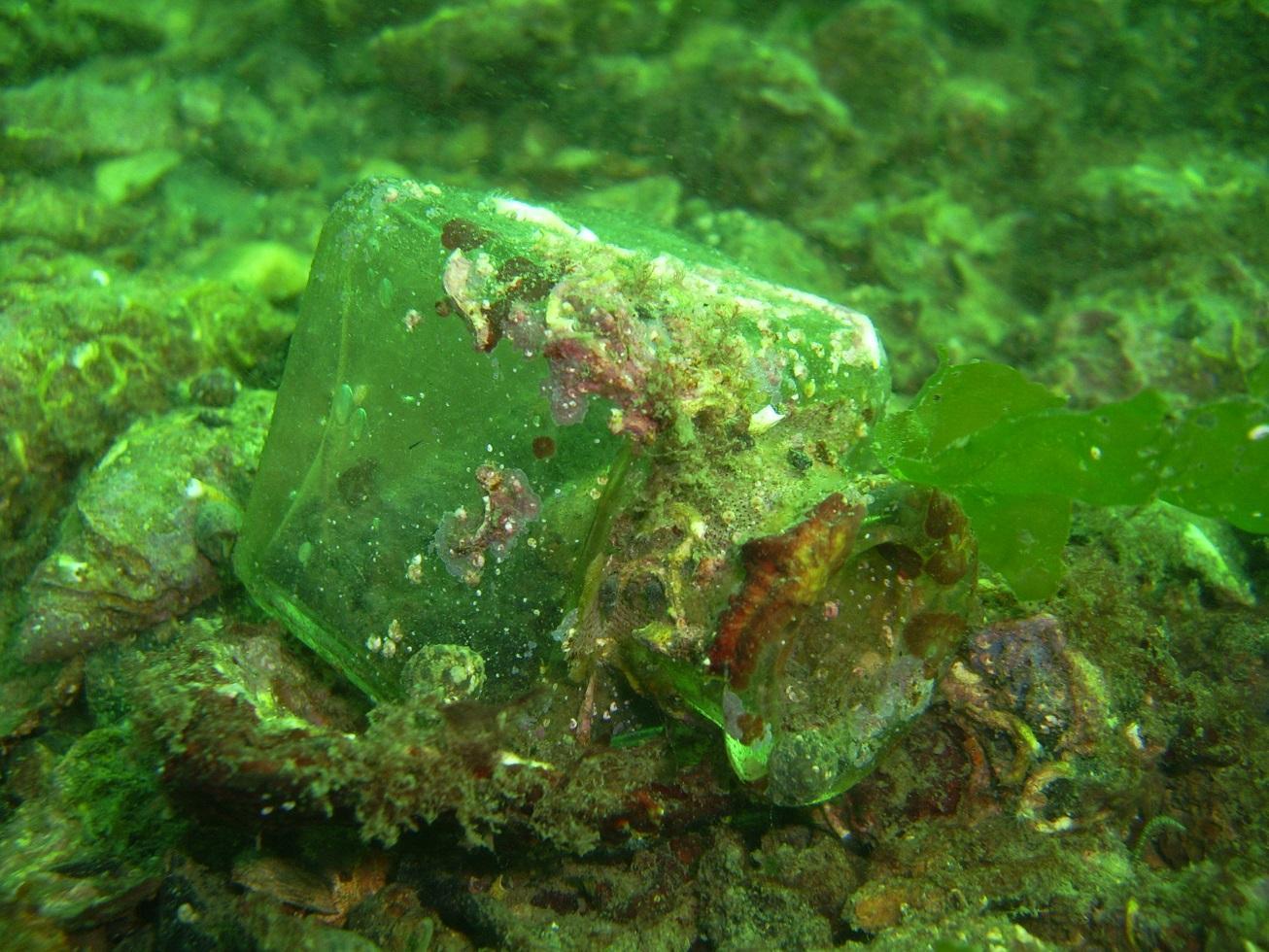Bottles from Bosphorus shed light on the consumption history of Istanbul
