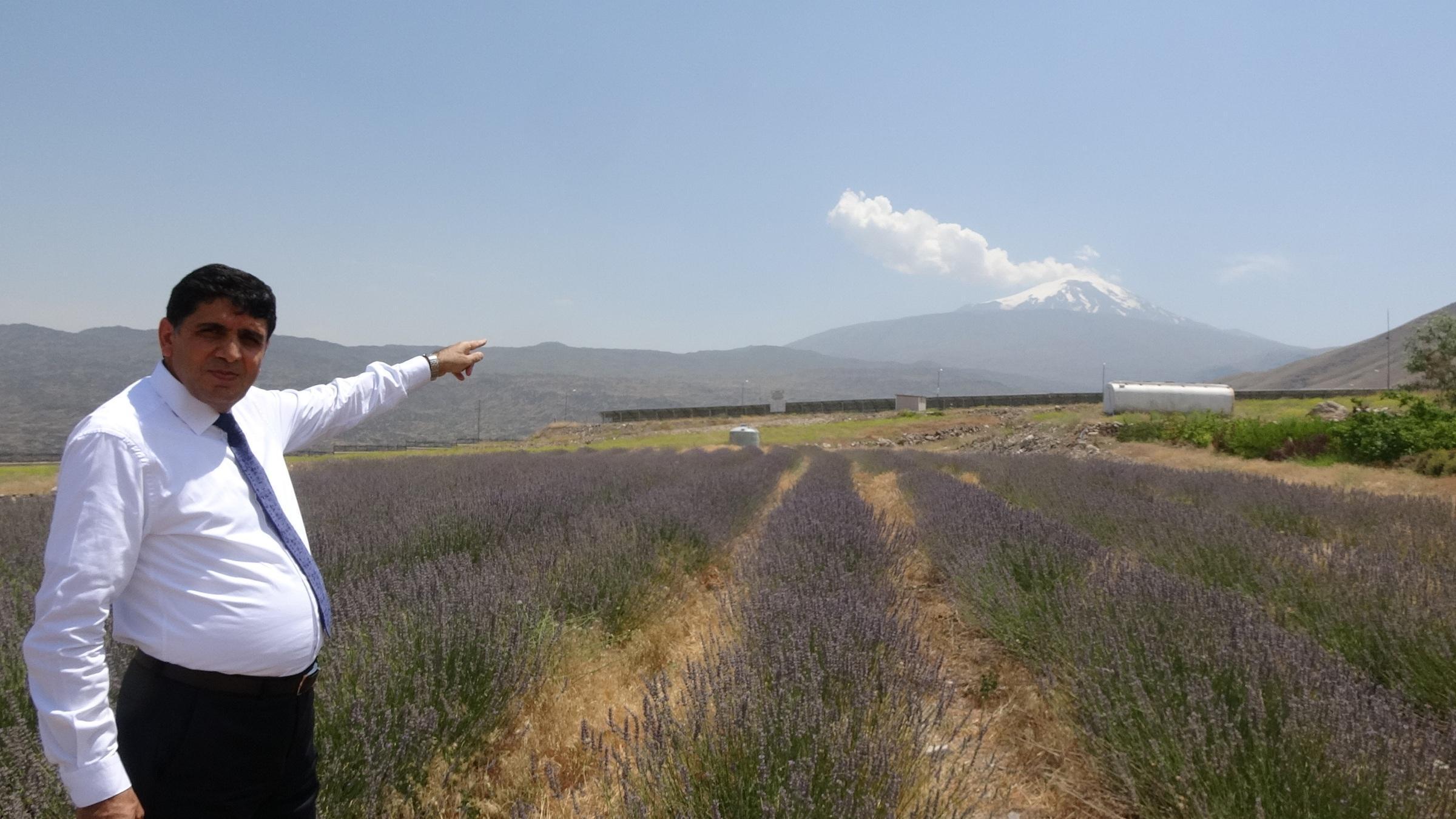 Ağrı Dağındaki buzullar eridikçe hayvan figürleri ortaya çıkıyor