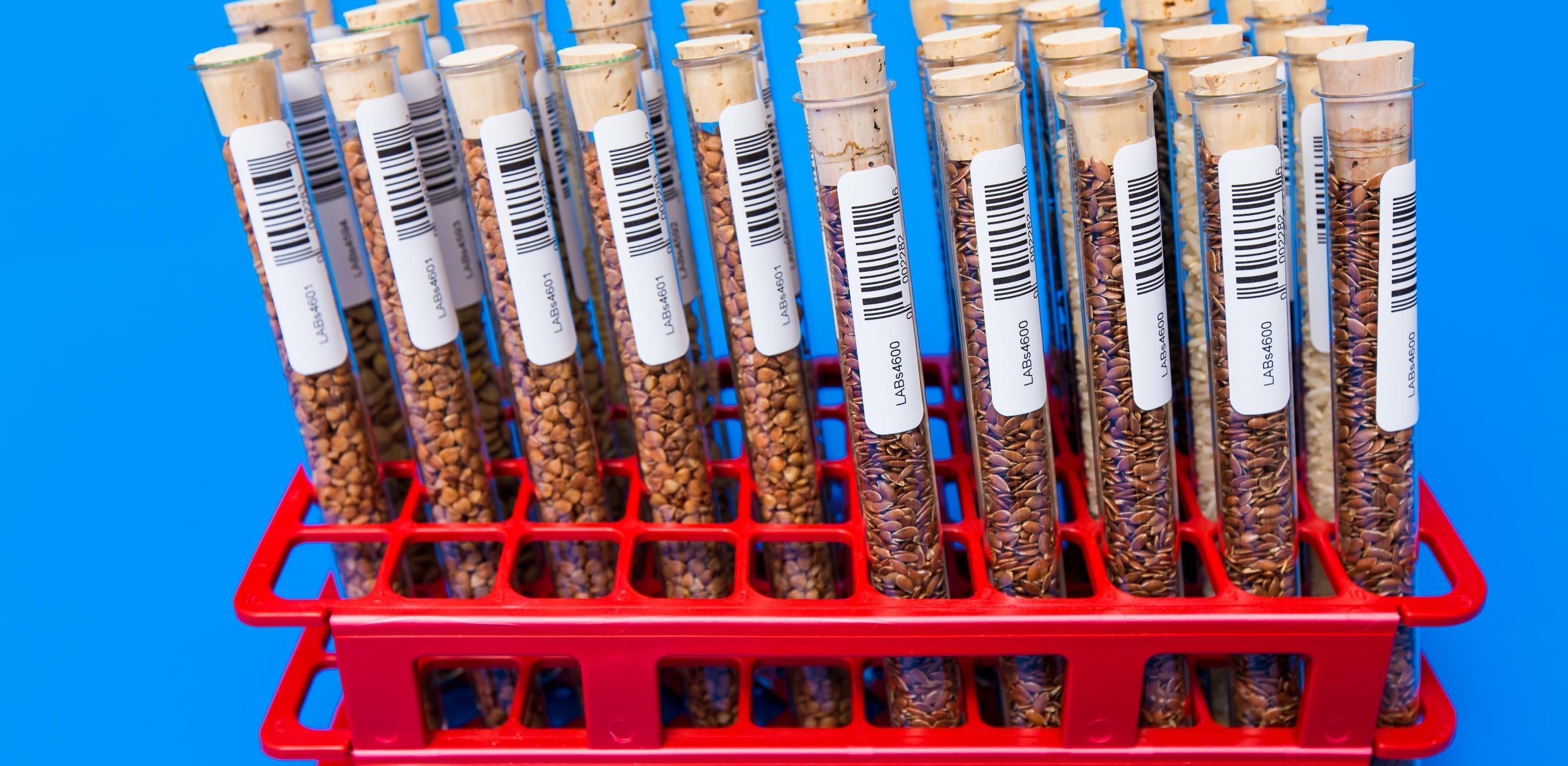 DNA Barkodlama yöntemiyle bitkilere kimlik veriliyor