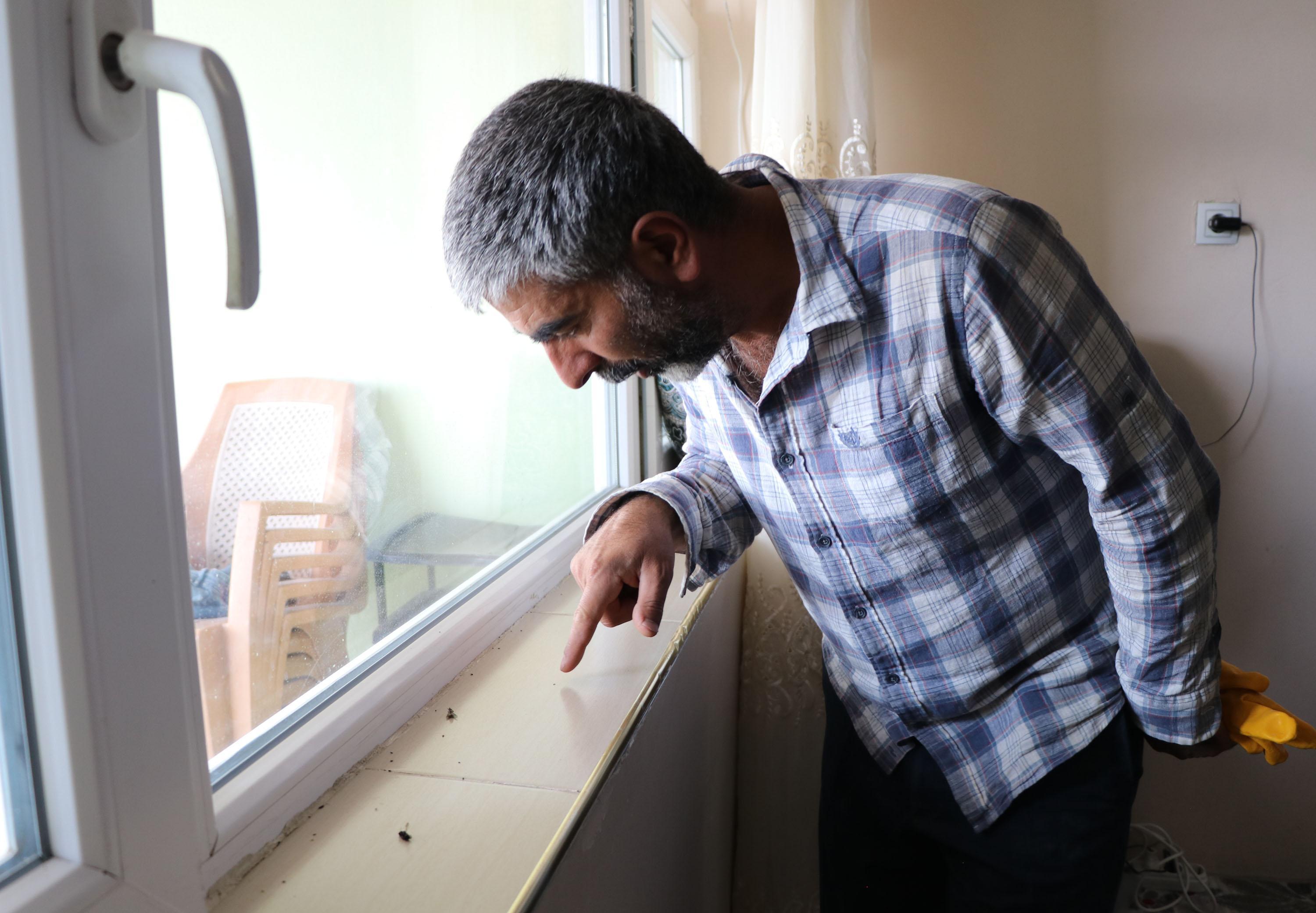 Vanda, mahalleyi bit ve pireler sardı