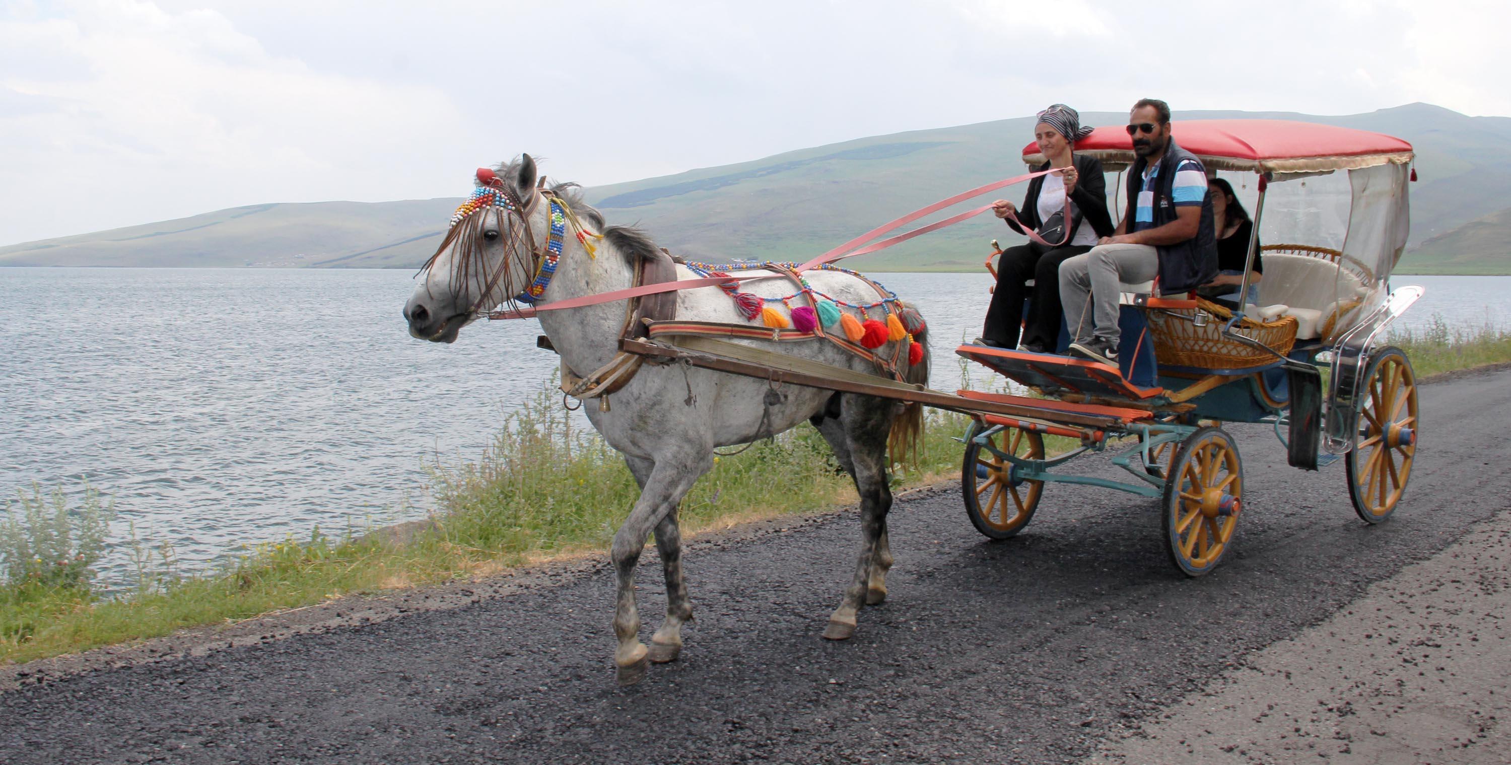 Çıldır Gölünde fayton sezonu