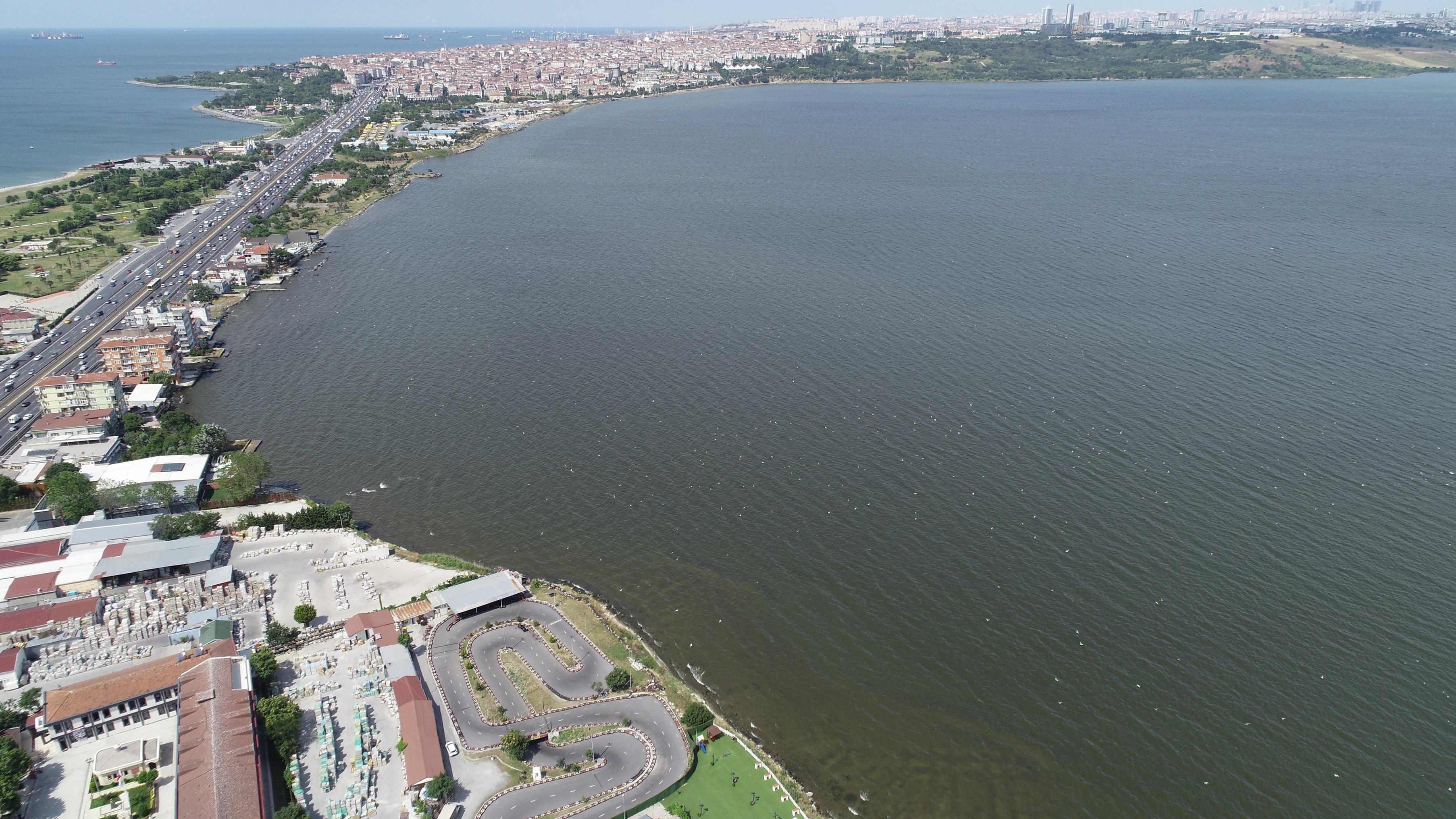 Küçükçekmece Gölü sahili ölü balık dolu