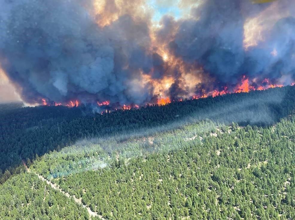 Kanada’da ‘ısı kubbesi’ kaynaklı 177 orman yangını devam ediyor