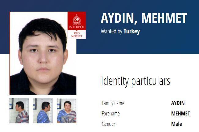 Interpols most wanted Mehmet Aydın, nicknamed Tosuncuk, is being brought to Turkey