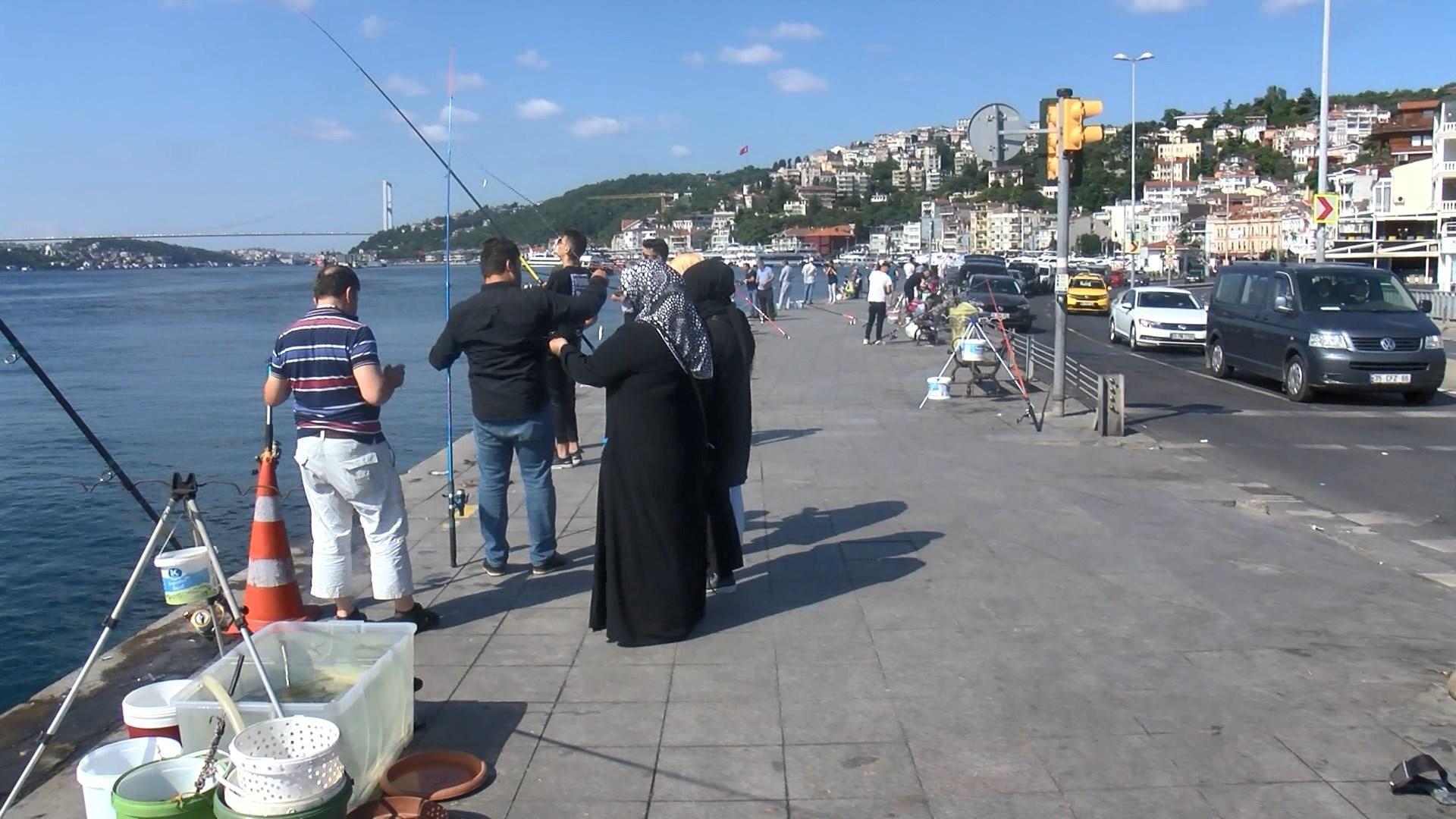 İstanbul Boğazı ve Galata Köprüsü olta balıkçıların akınına uğradı