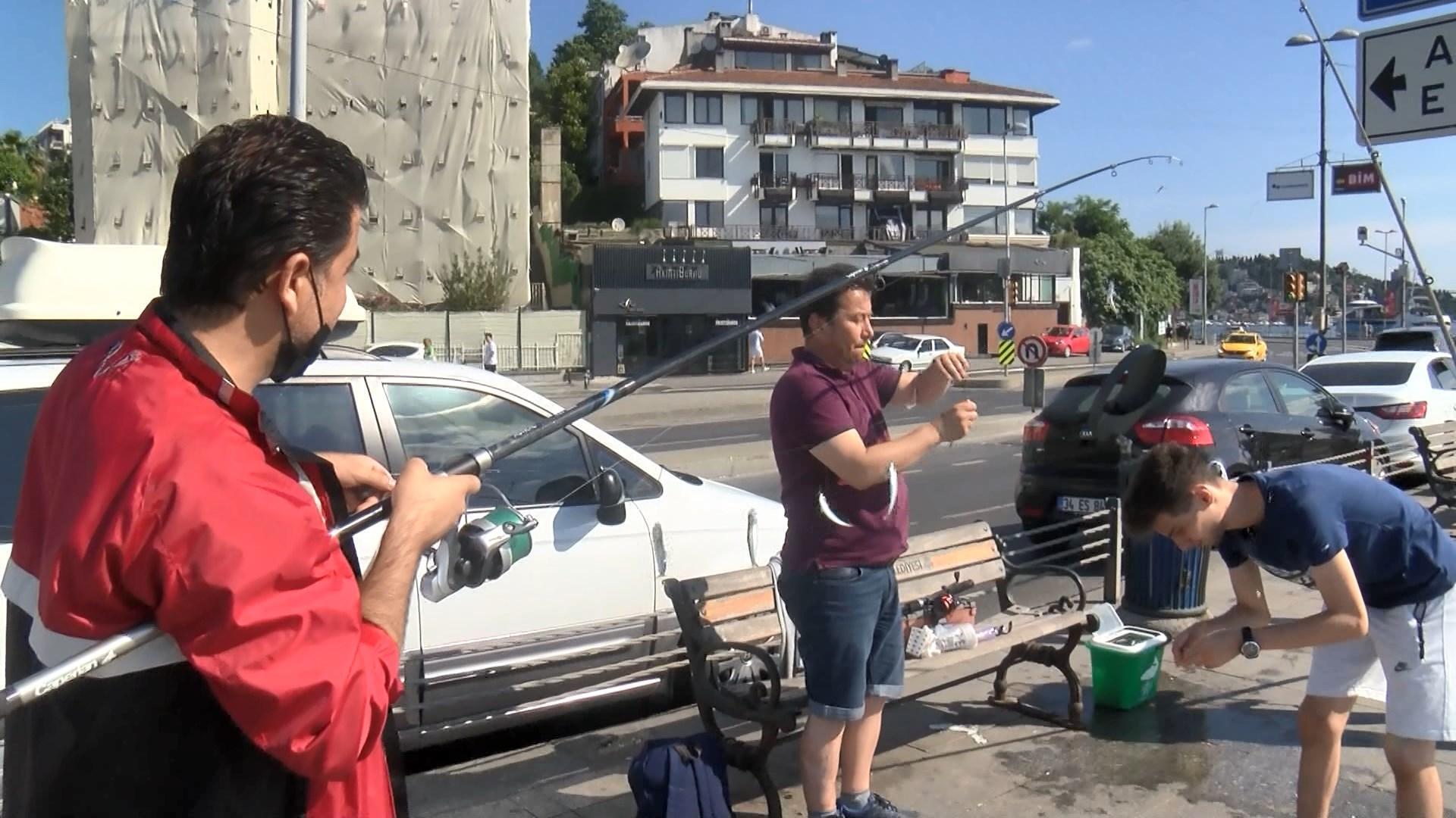 İstanbul Boğazı ve Galata Köprüsü olta balıkçıların akınına uğradı