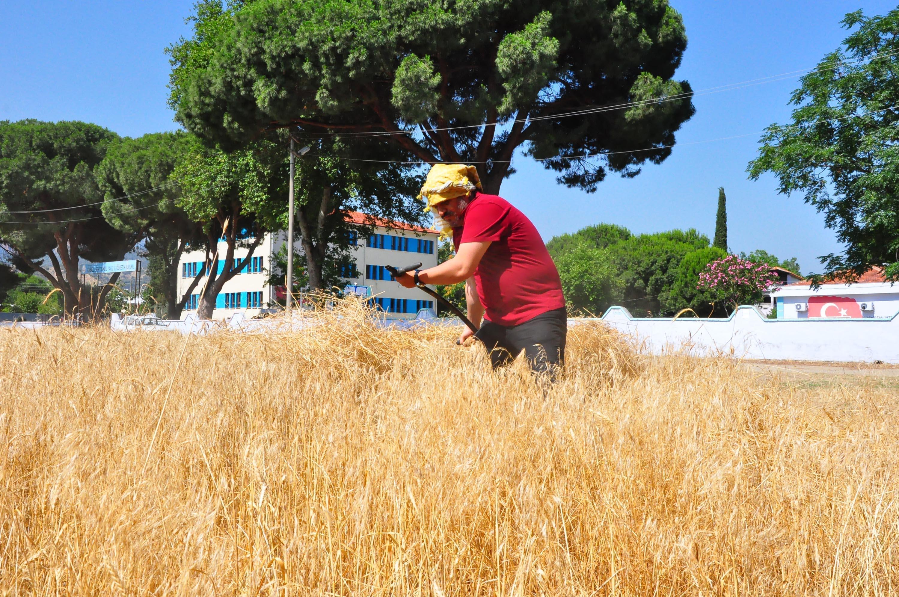 Okul müdüründen kurumu ve öğrencileri için tarla ekimi