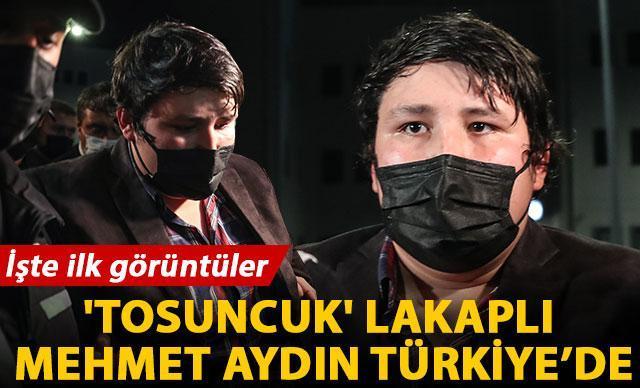 Tosuncukun avukatı: Henüz ifade vermedi