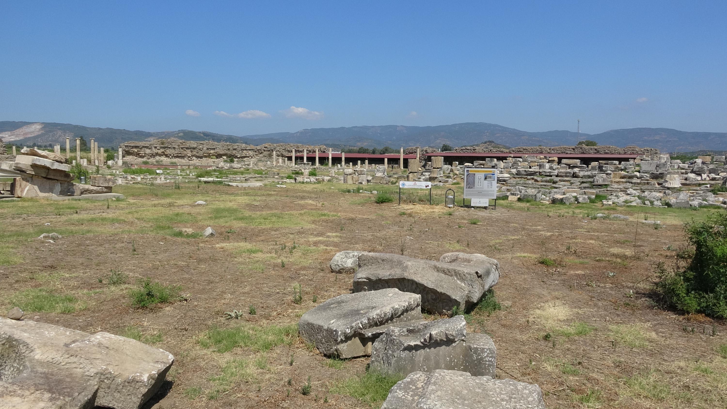Magnesia Antik Kentinde hedef  Zeus Tapınağını gün yüzüne çıkarmak